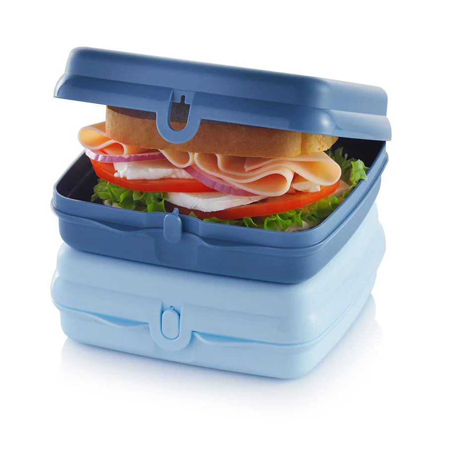 Tupperware Sandwich keeper