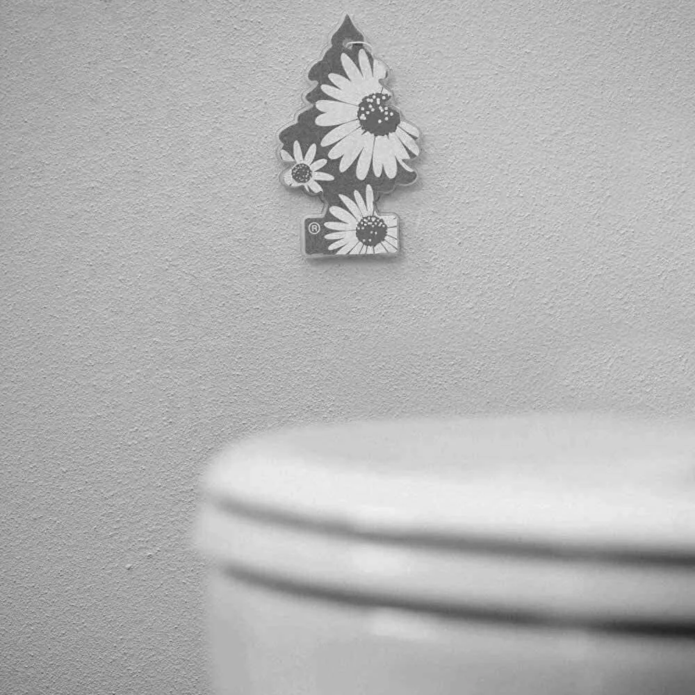 Little Trees® Air Freshene แผ่นน้ำหอมปรับอากาศ ลิขสิทธิ์แท้ นำเข้าจาก USA