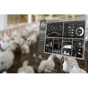 ฟาร์มอัจฉริยะสำหรับไก่/เป็ดสัตว์ปีก