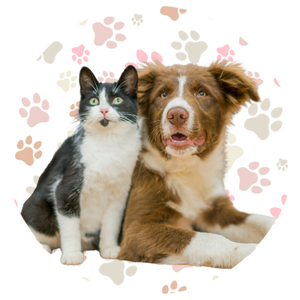 สัตว์เลี้ยง