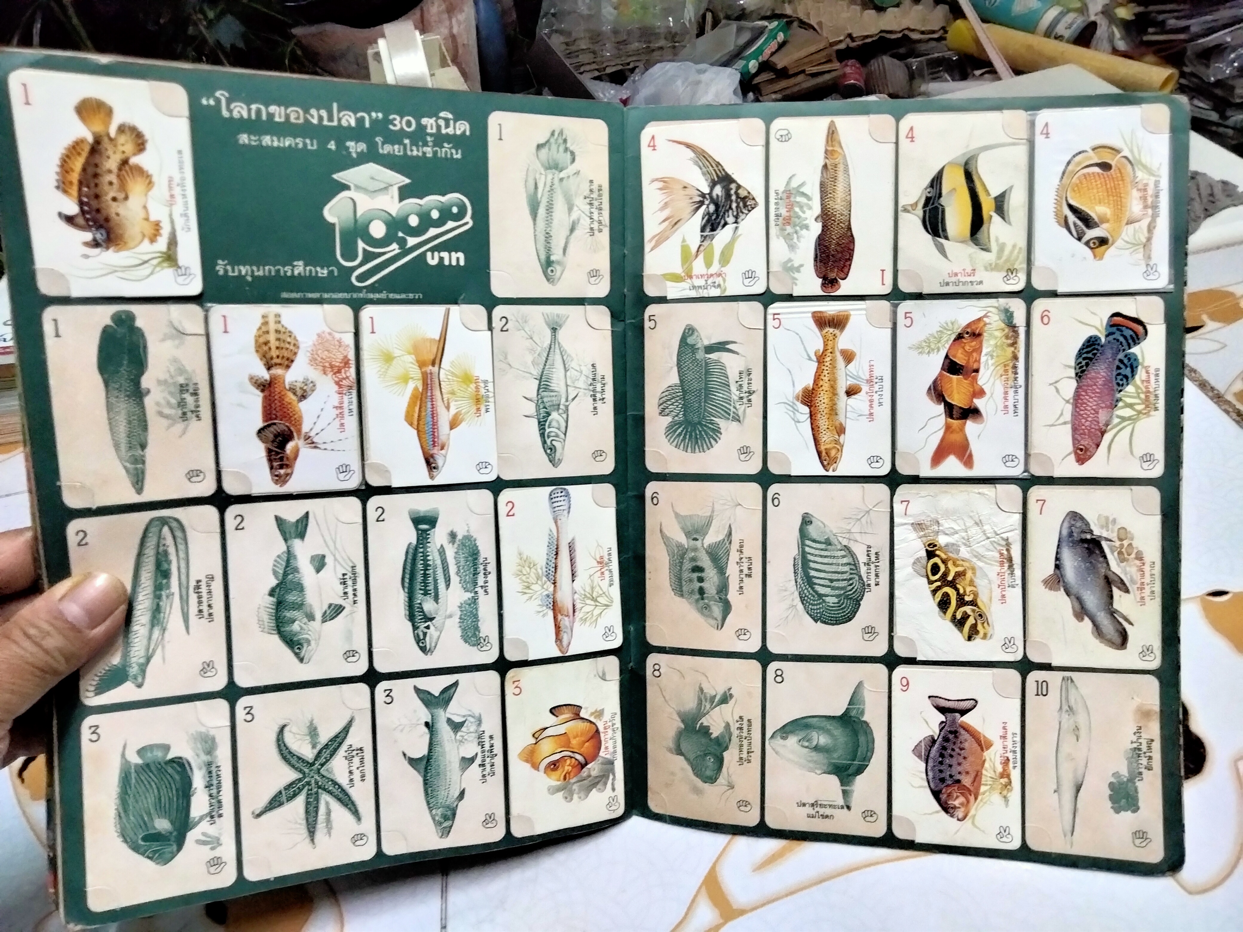 สมุดสะสมภาพสัตว์โลกแสนรัก (มีการ์ด 21 ใบ จาก 120 ใบ) **สินค้าหมด**