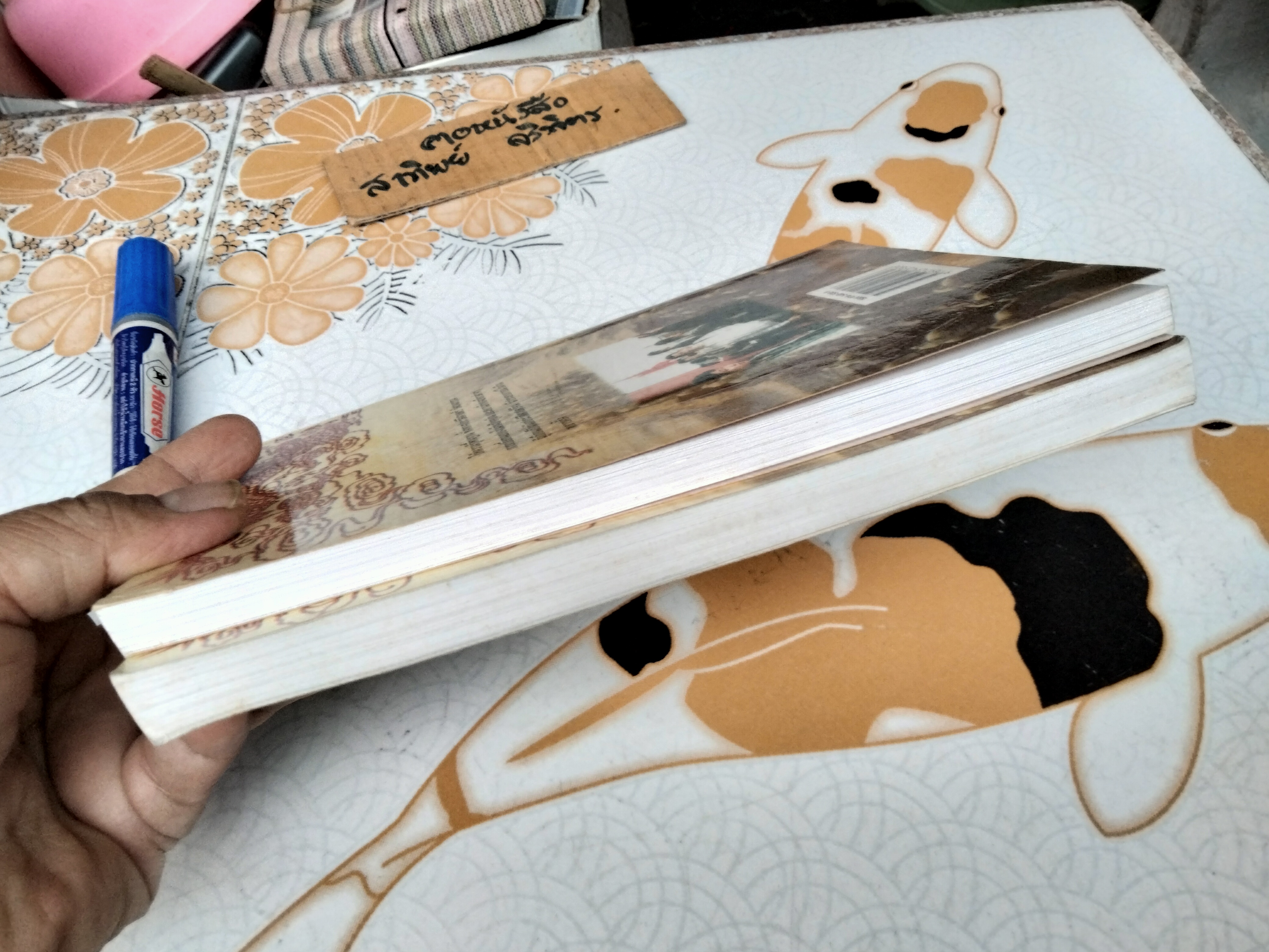 ตะลุยจีน ท่องถิ่นมังกร โดย รศ.วุฒิชัย มูลศิลป์ พิมพ์ พ.ศ.2540 **สินค้าหมด**