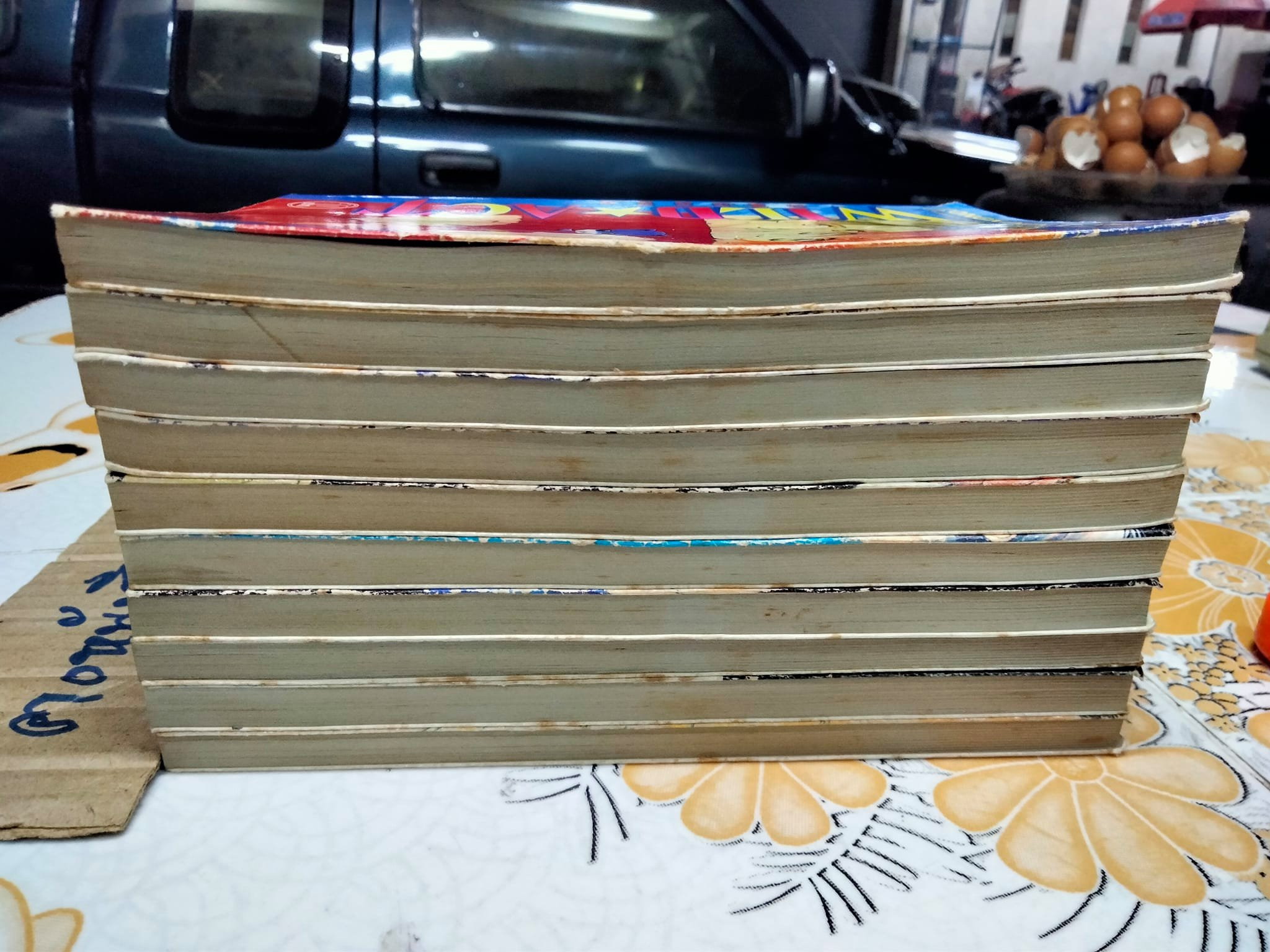 สะดุดรักสาวจอมโจร (WILD ACT) - 10 เล่มจบ