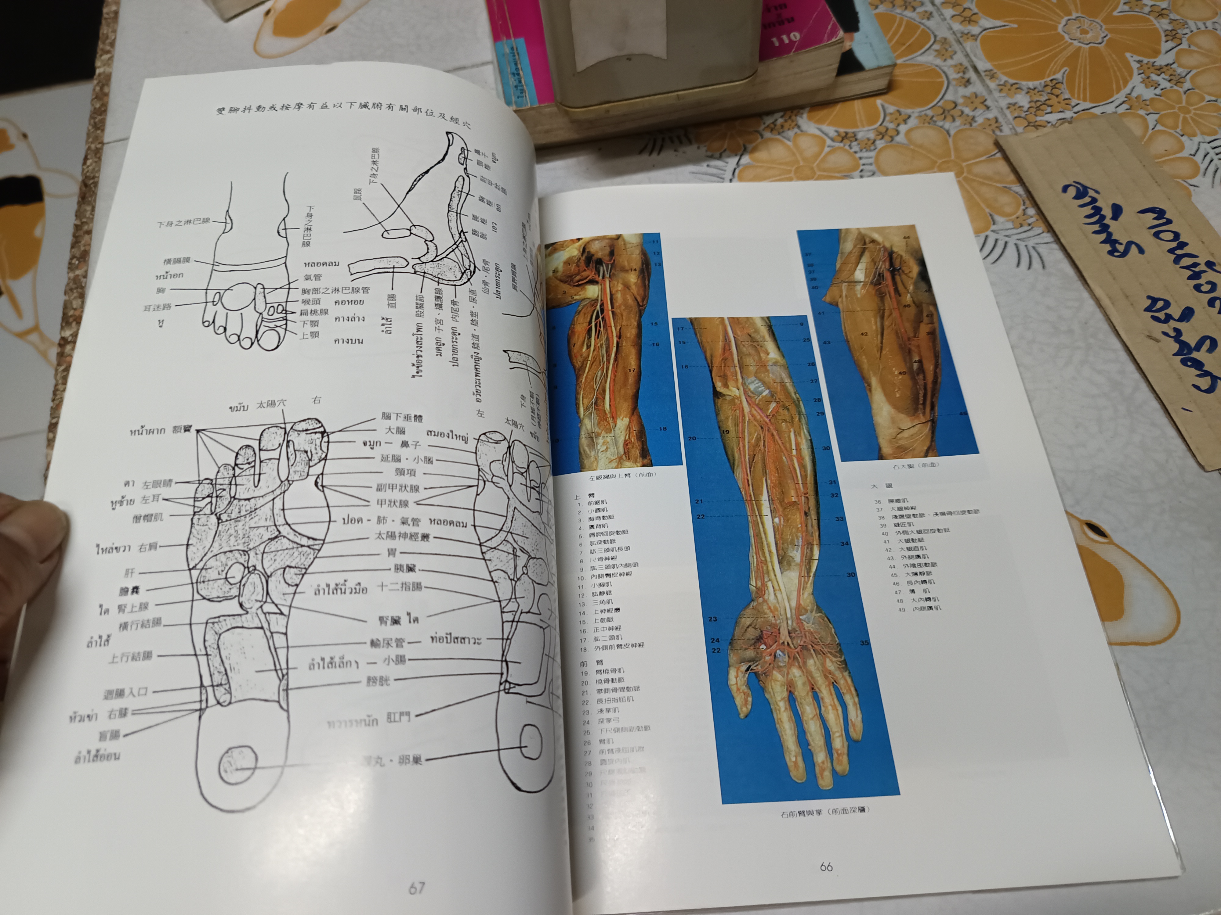 ตำราฝึกซ้อมจิตยุทธ "หว้ายตันกง” (ฉบับ 2 ภาษา ไทย -จีน) อภินันทนาการจาก ยง วุฒิเกียรติ พิมพ์ครั้งที่ 2/2540 **สินค้าหมด**