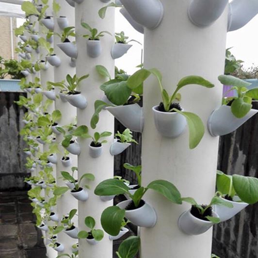 ระบบปลูกพืชแนวตั้ง Vertical Garden hydroponics รวมติดตั้ง