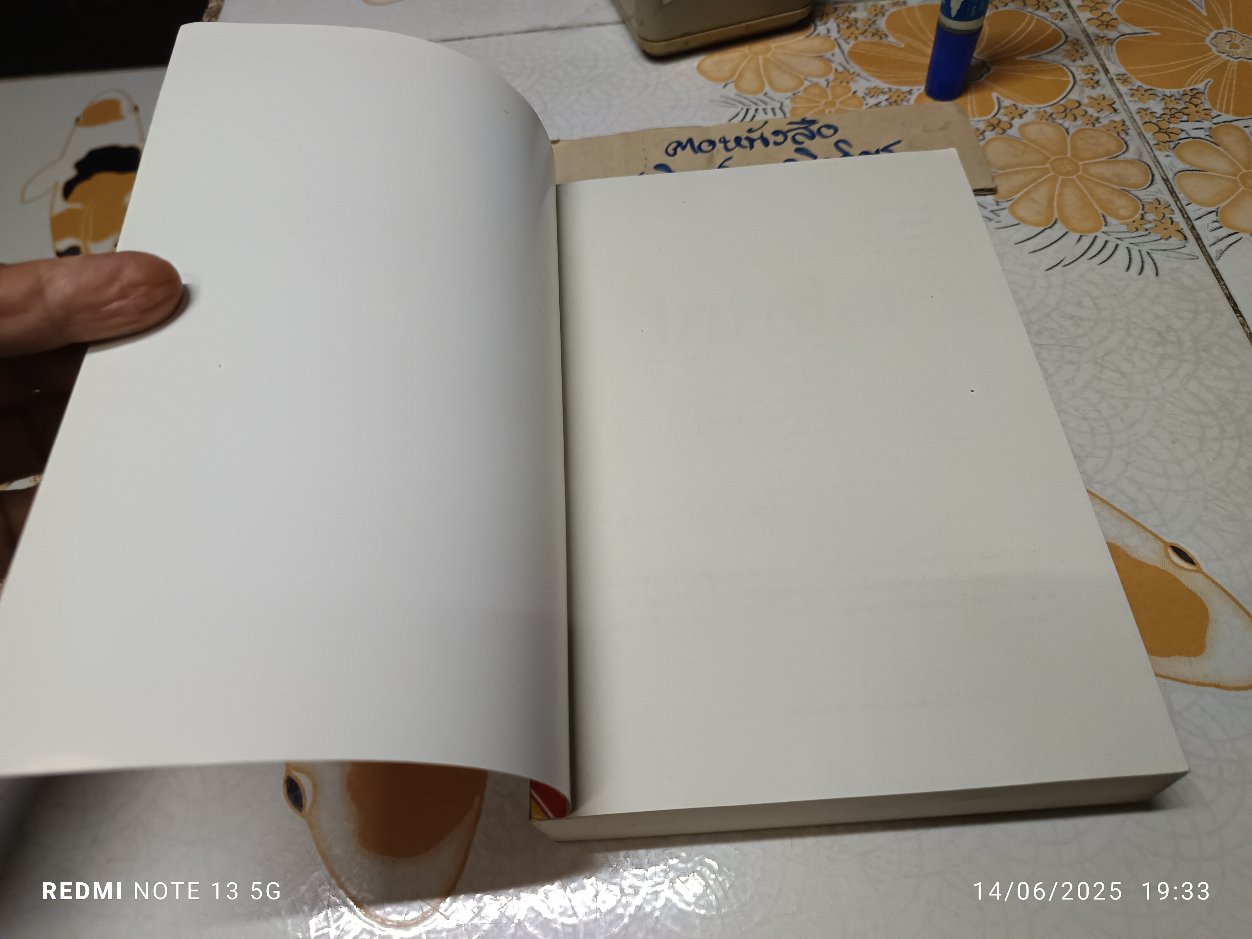 ทรยศ Infidel อยาอัน ฮีร์ซี อาลี เขียน /วิภาดา กิตติโกวิท แปล / สำนักพิมพ์สันสกฤต