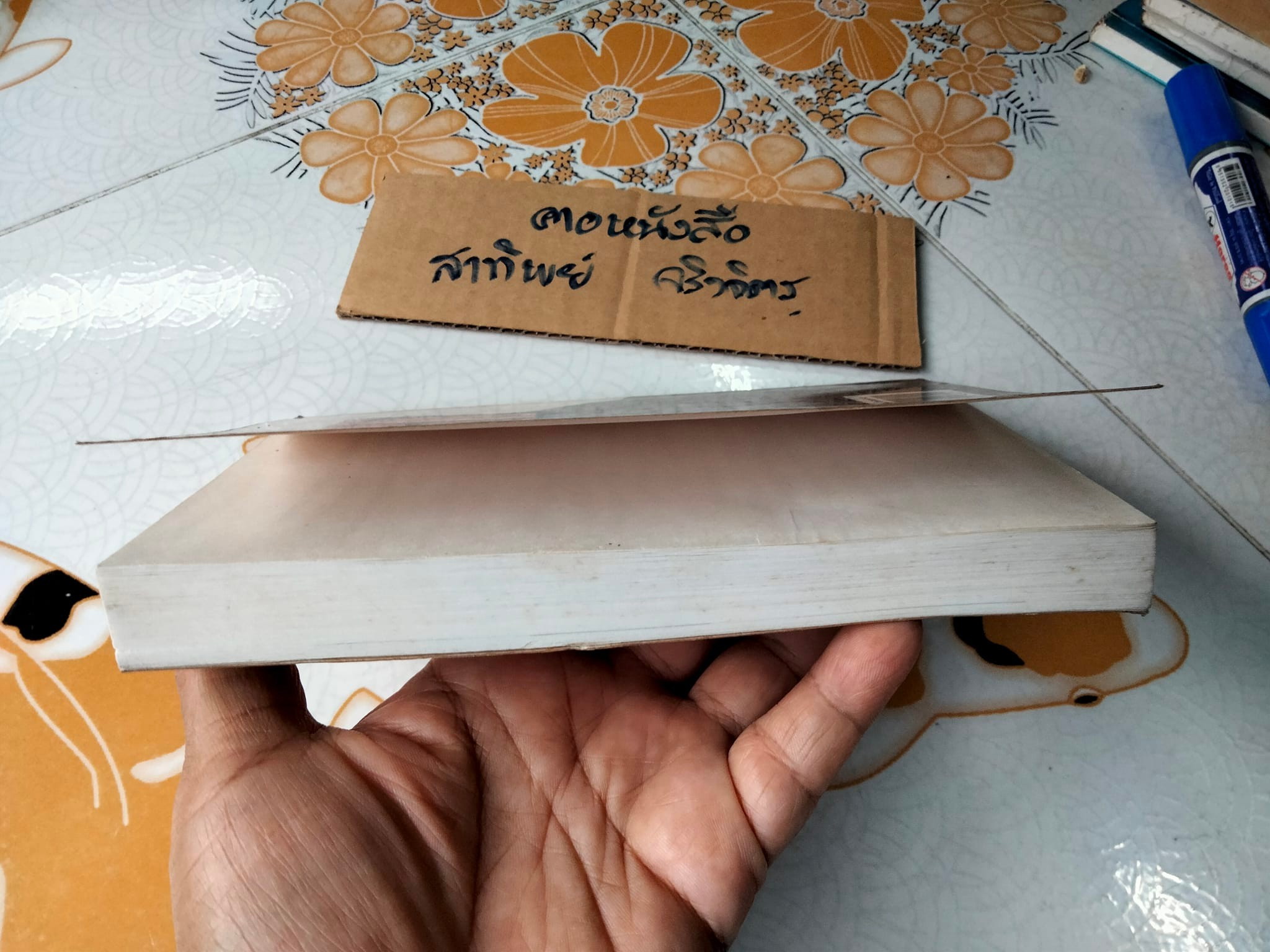 ตามเสด็จปากีสถาน ว.ณ ประมวญมารค **สินค้าหมด**