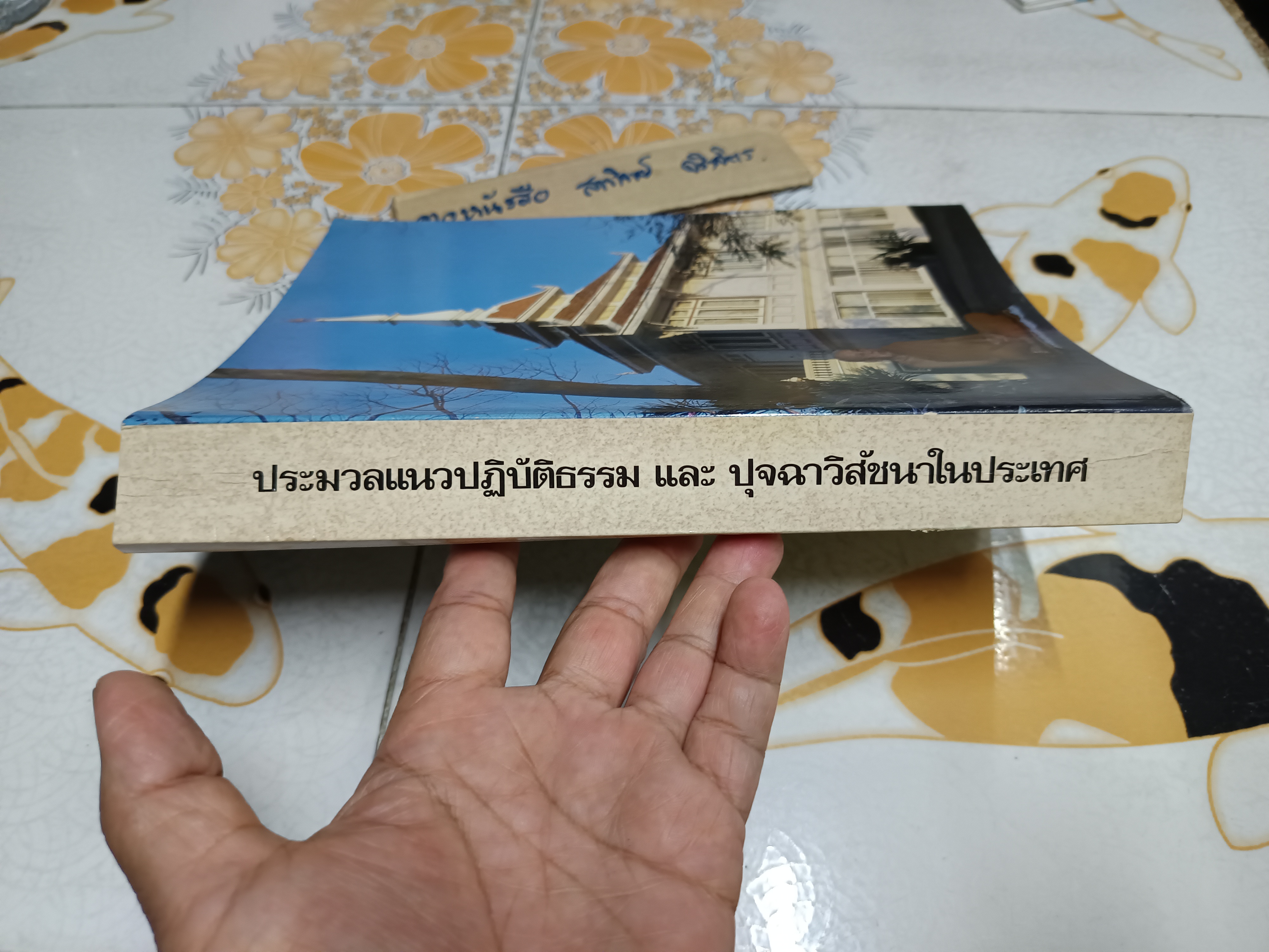 ประมวลแนวปฏิบัติธรรม และ ปุจฉาวิสัชนาในประเทศ / พระนิโรธรังสีคัมภีรปัญญาจารย์ (เทสก์ เทสรังสี) **สินค้าหมด**