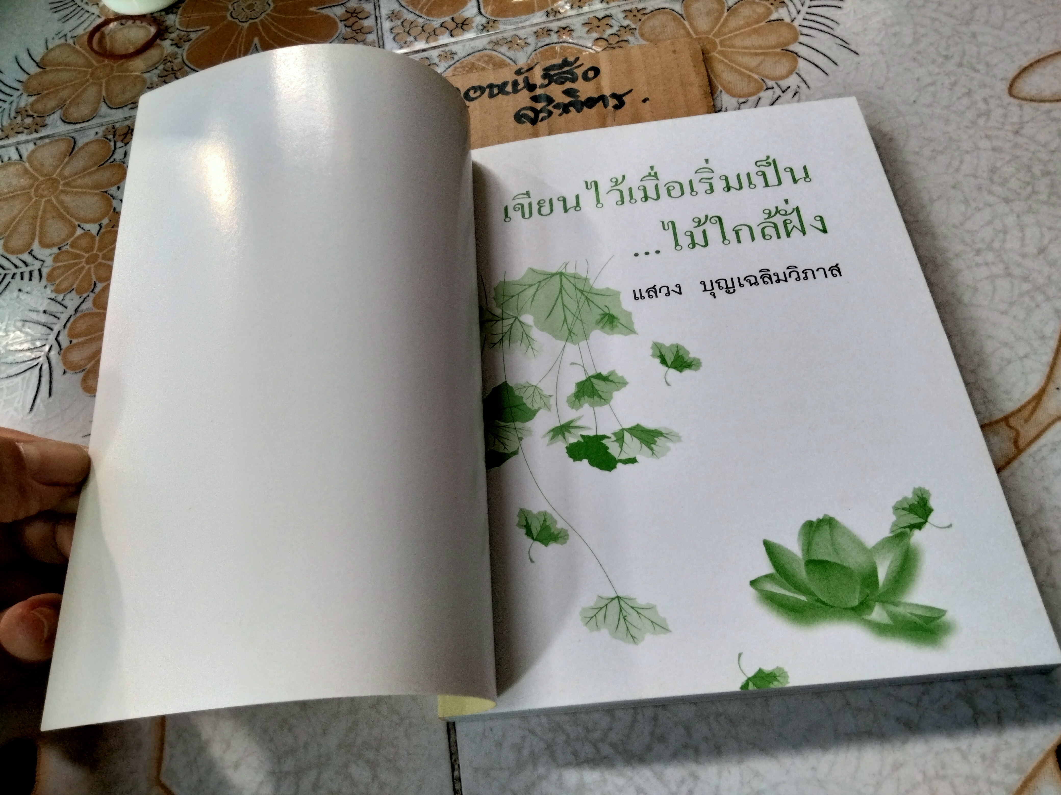 เขียนไว้เมื่อเริ่มเป็นไม้ใกล้ฝั่ง โดย แสวง บุญเฉลิมวิภาส