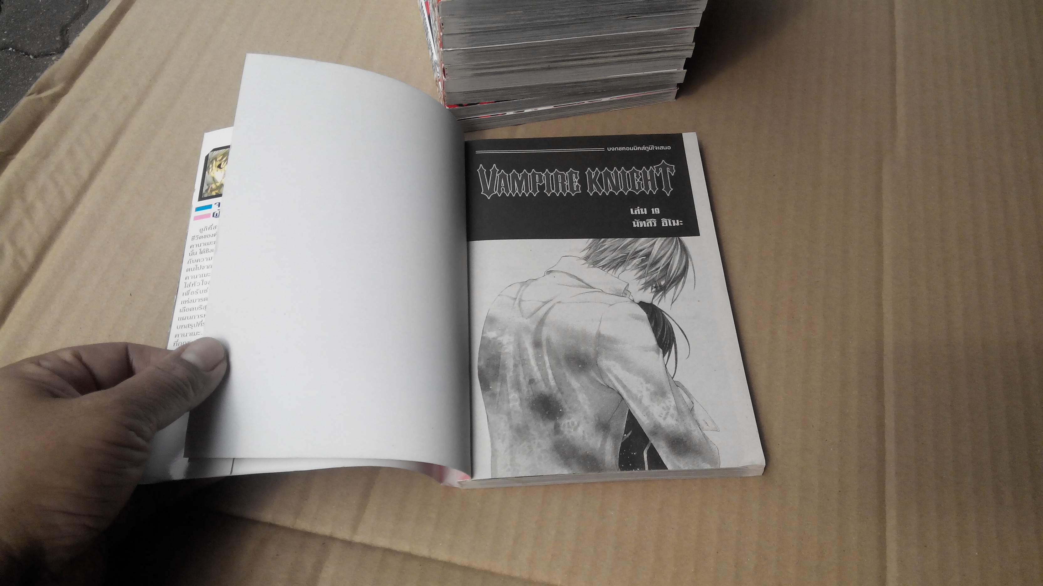 Vampire Knight ครบชุด 19 เล่มจบ