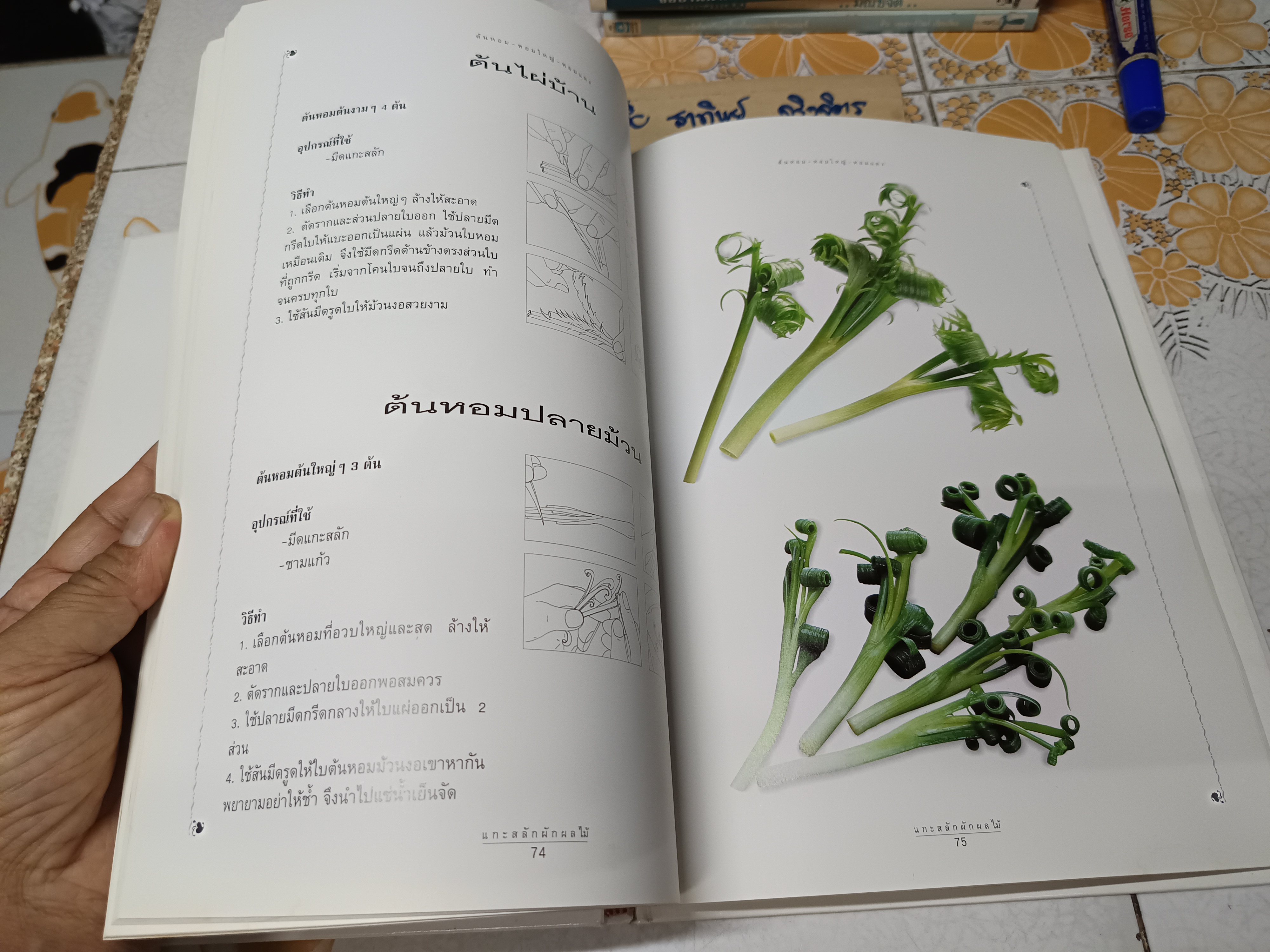 แกะสลักผัก ผลไม้ อย่างง่าย / สำนักพิมพ์แสงแดด