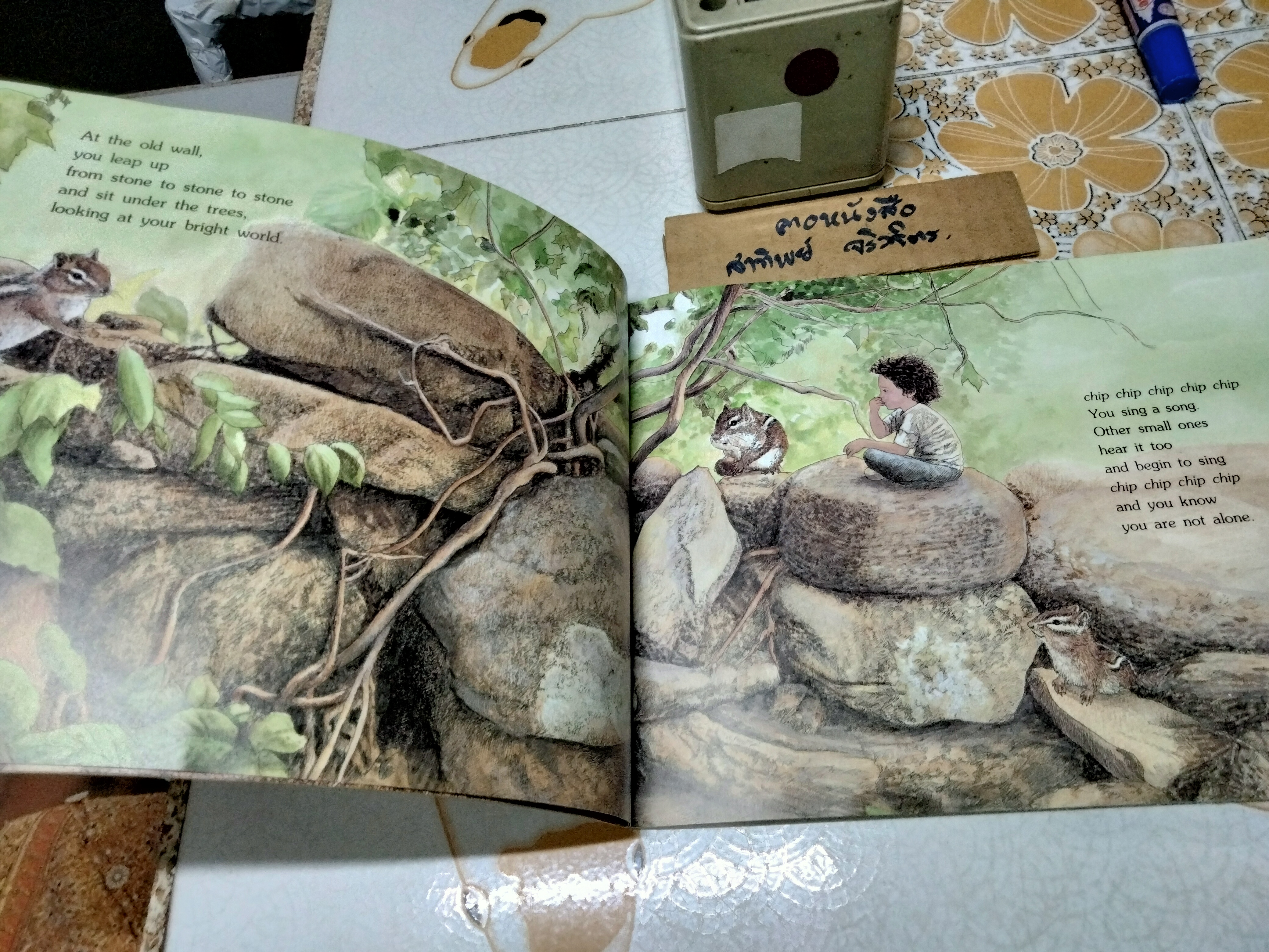 Chipmunk Song by Joanne Ryder Pictures by Lynne Cherry, 1990