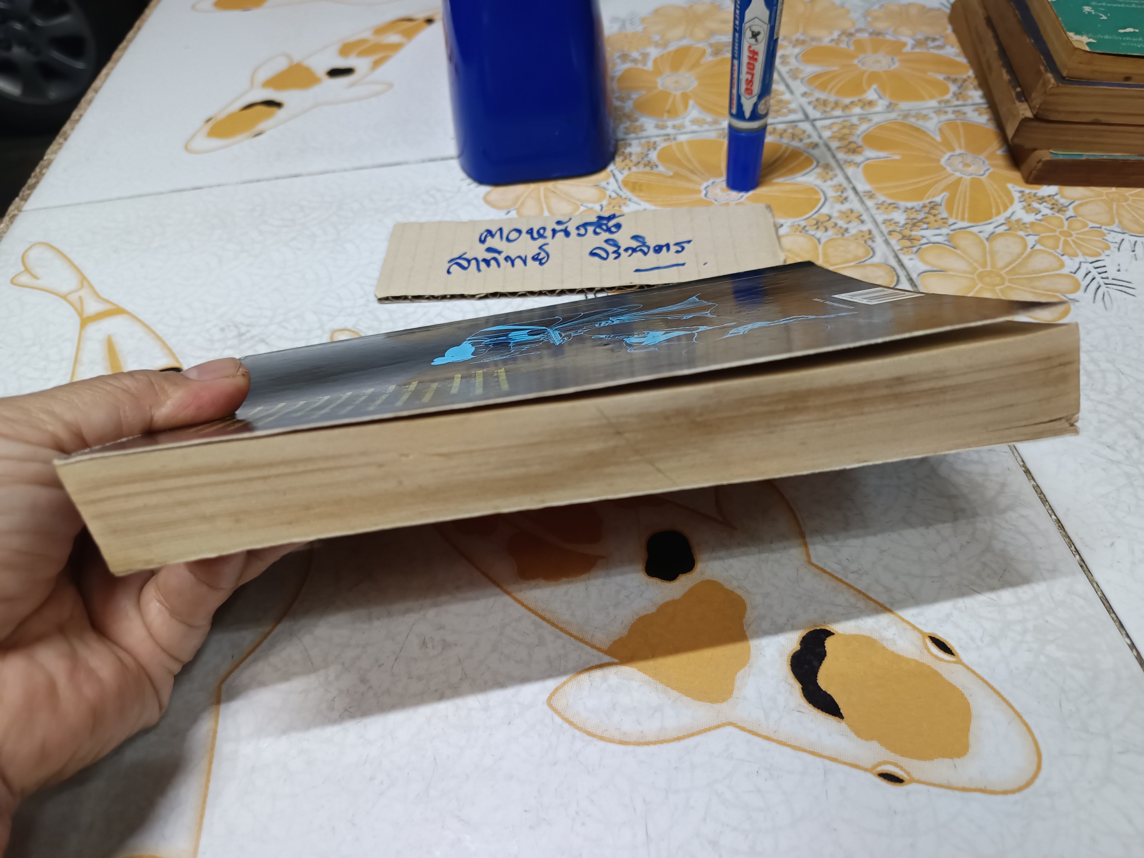 บัณฑิตก่อนเที่ยงคืน (โย่ว ผู-ถวน) วรรณกรรมต้องห้ามของจีนโบราณ