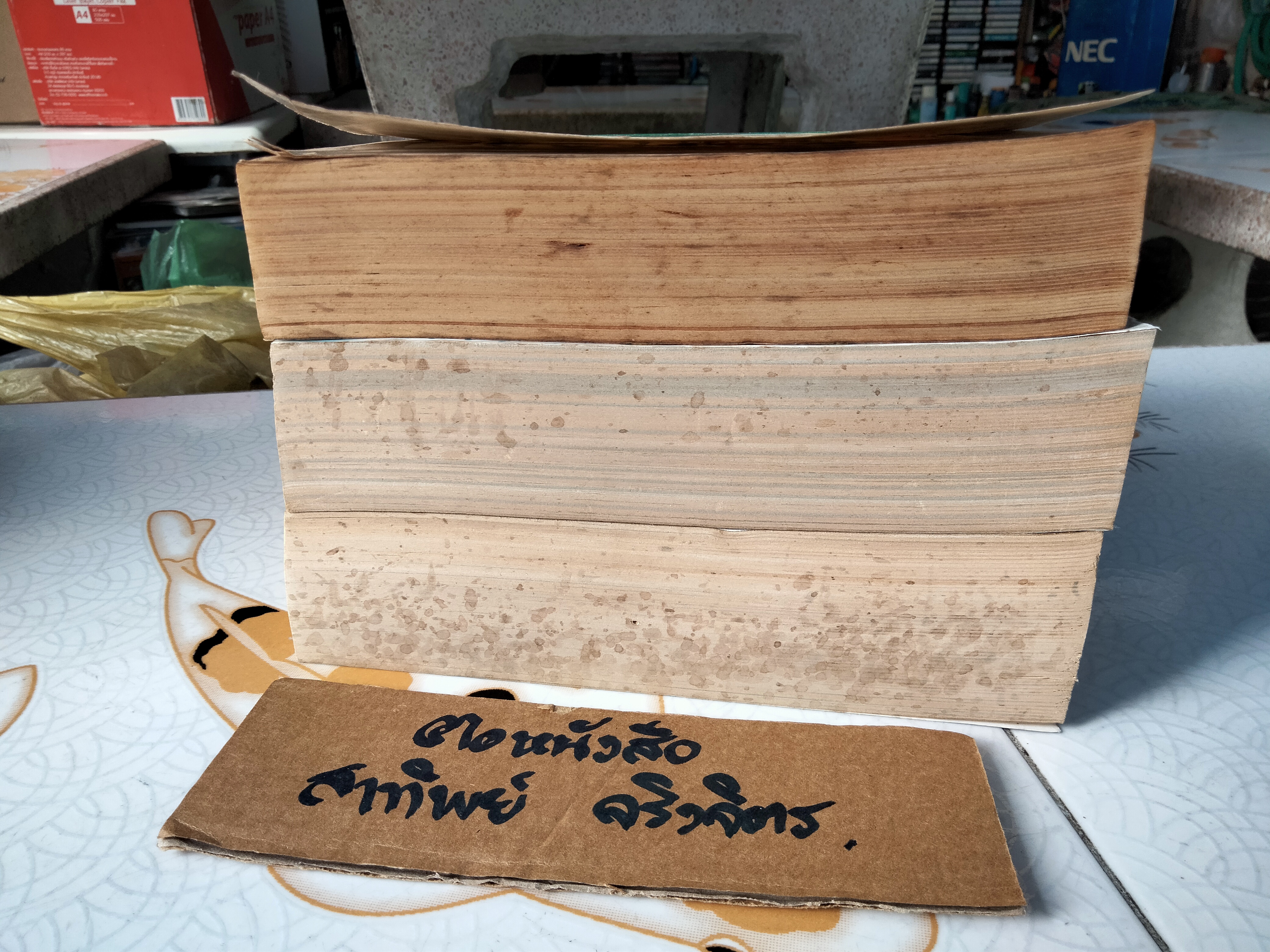 หนังสือการ์ตูน ไฟรักไฟริษยา (3 เล่มจบ) - ชิเอโกะ โฮโซกาว่า (ผู้เขียนคำสาปฟาโรห์) **สินค้าหมด**