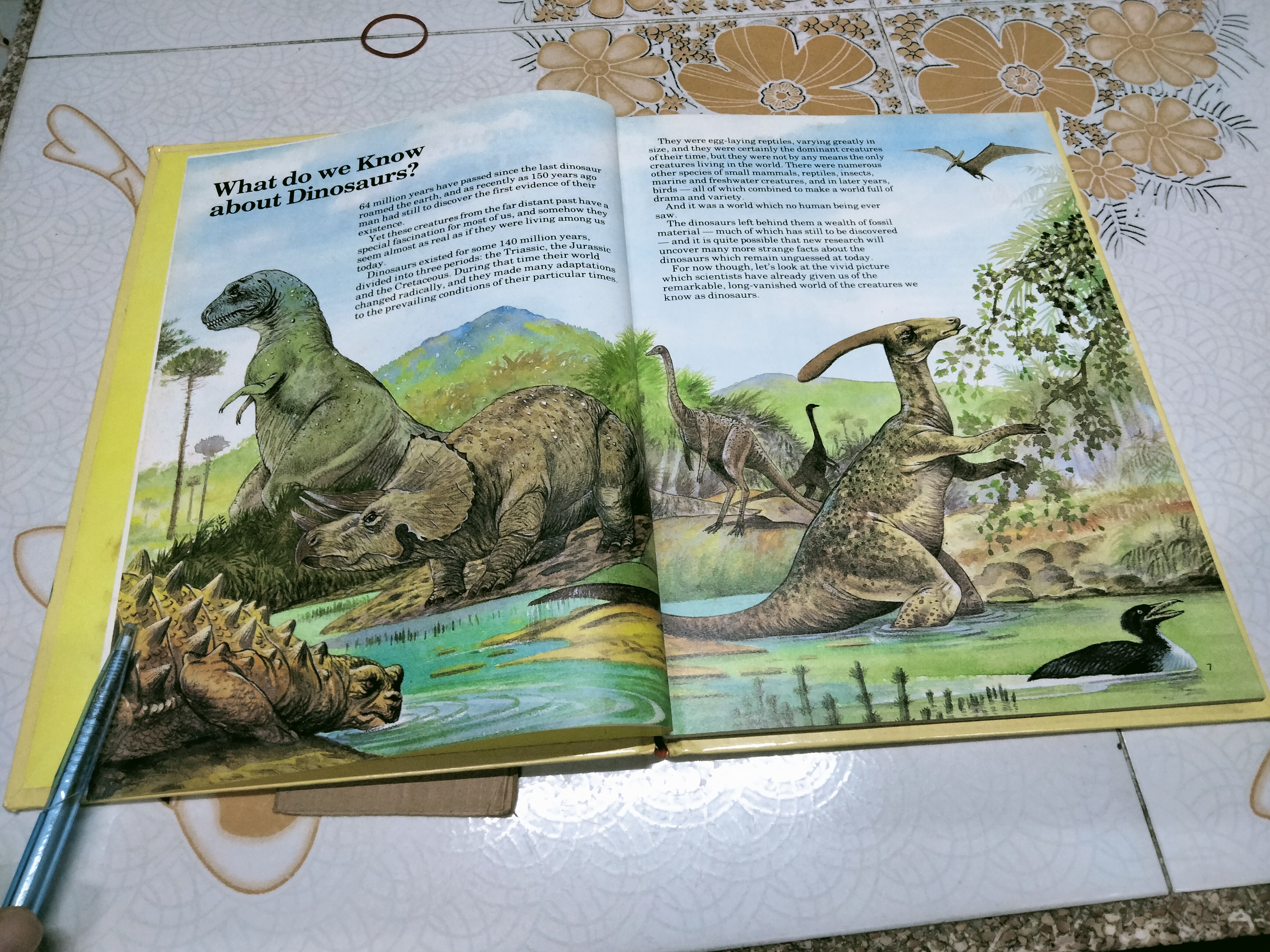 All about DINOSAURS - DERRYDALE BOOKS