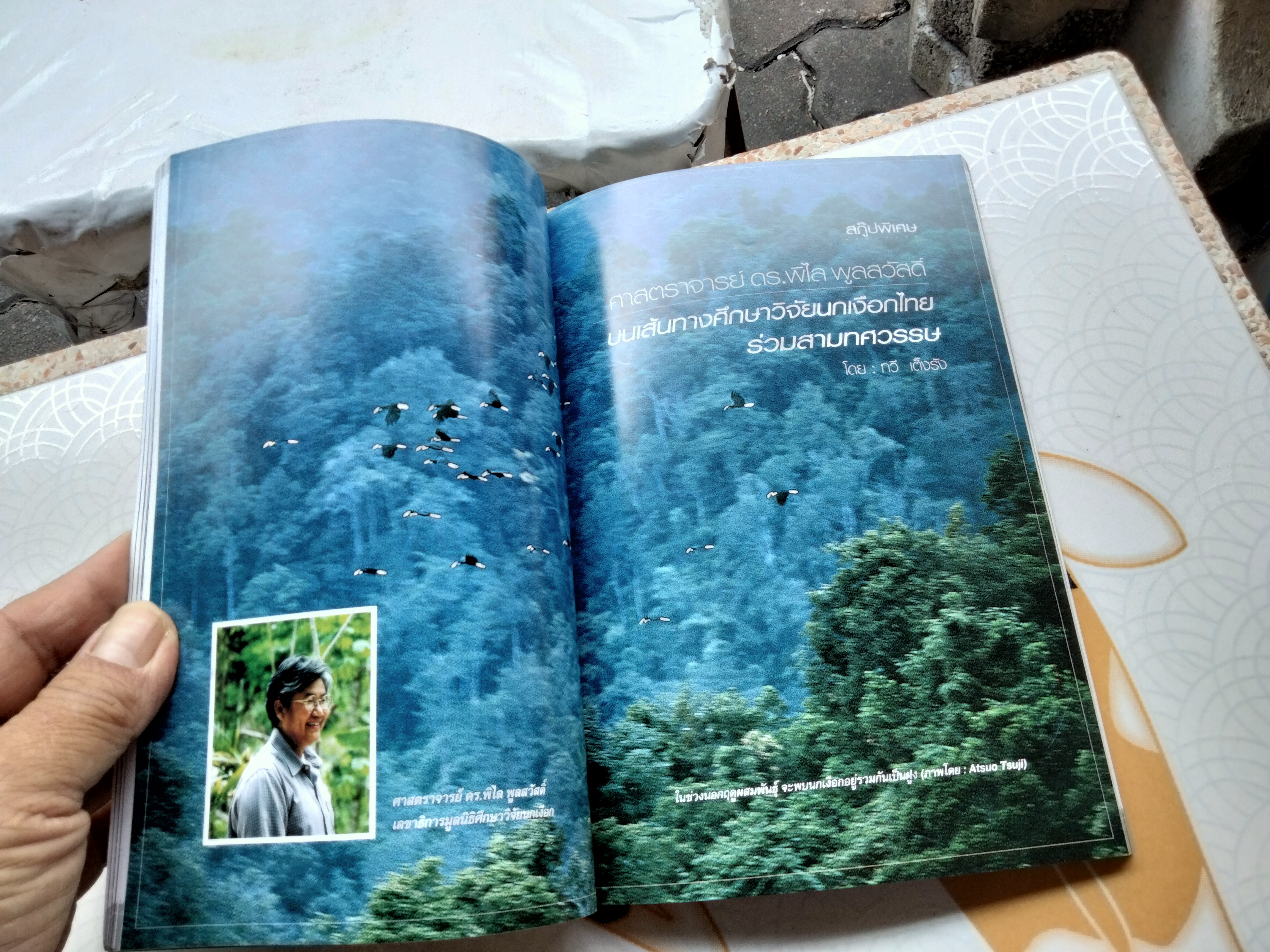 นกเงือกเกาะช้าง นกเงือกไทย , หนังสือ คำนำโดย ศาสตราจารย์ ดร.พิไล พูลสวัสดิ์ ปีพ.ศ 2548 **สินค้าหมด**