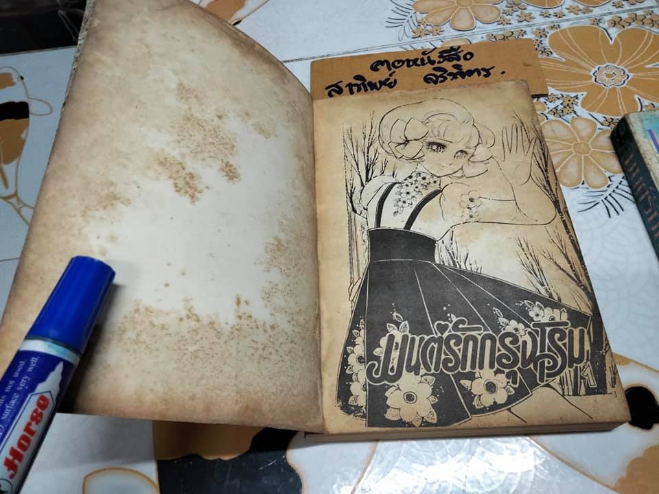 มนต์รักกรุงโรม 2 เล่มจบ - HOSOKAWA SHIEKO **สินค้าหมด**