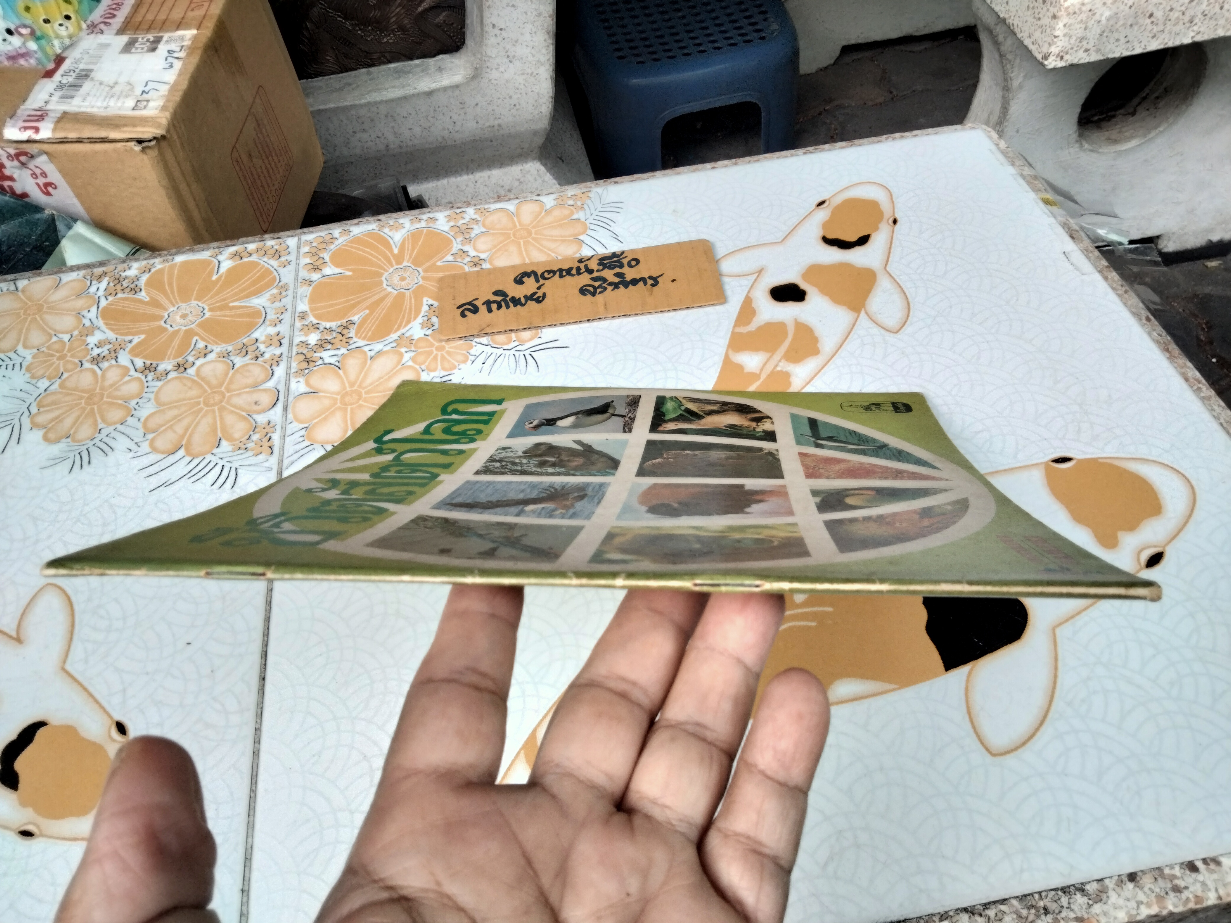 สมุดสะสมสติกเกอร์ ชีวิตสัตว์โลก (แปะไป 66 รูป/ 240 รูป)