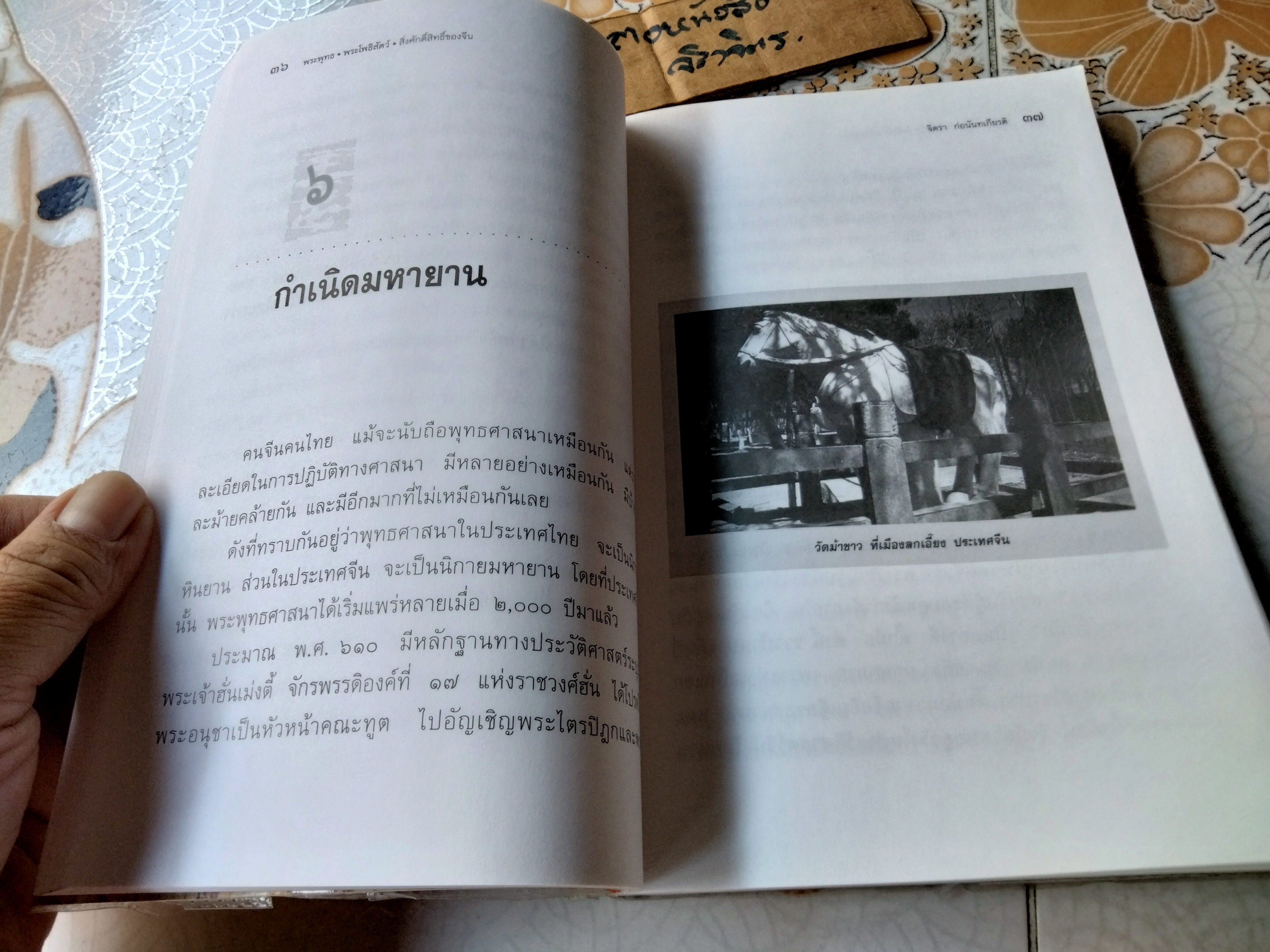 พระพุทธ พระโพธิสัตว์ สิ่งศักดิ์สิทธิ์ของจีน โดย จิตรา ก่อนันทเกียรติ พิมพ์ครั้งที่ 2/2542 สนพ.จิตรา **สินค้าหมด*"