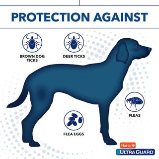 Hartz® UltraGuard Dual Action Flea & Tick Topical for Small Dogs 3 Tubes กำจัดเห็บหมัด สำหรับสุนัข