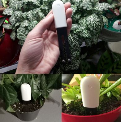 เซนเซอร์วัดค่าในดิน Xiao mi mi care plants Grass Flower Flora Digital Monitor