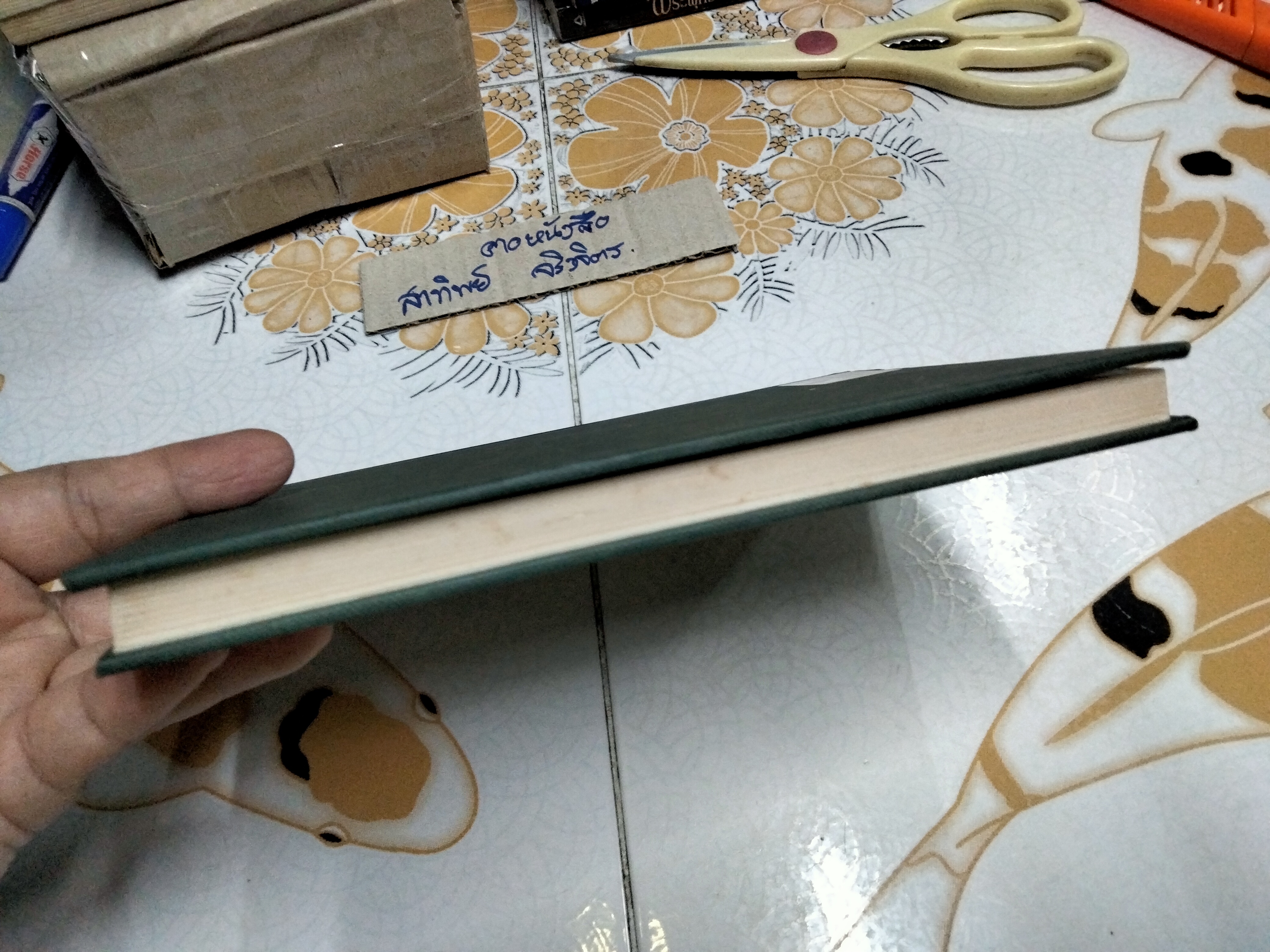 กรีบูย GRIBOUILLE โดย จอร์ช ซองด์ (พิมพ์ครั้งแรก พ.ศ.2539)