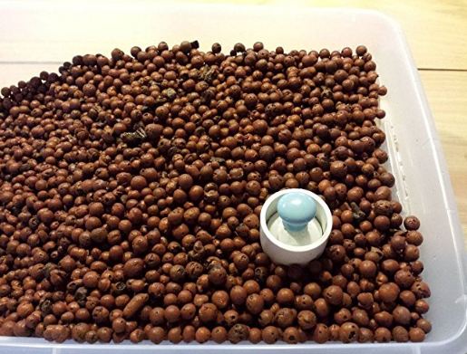 Aquaponics Auto Bell Siphon Kit 4 1/2 " Small Grow Grow Garden สำหรับผักสวนครัวโรงเรือนต่างๆ