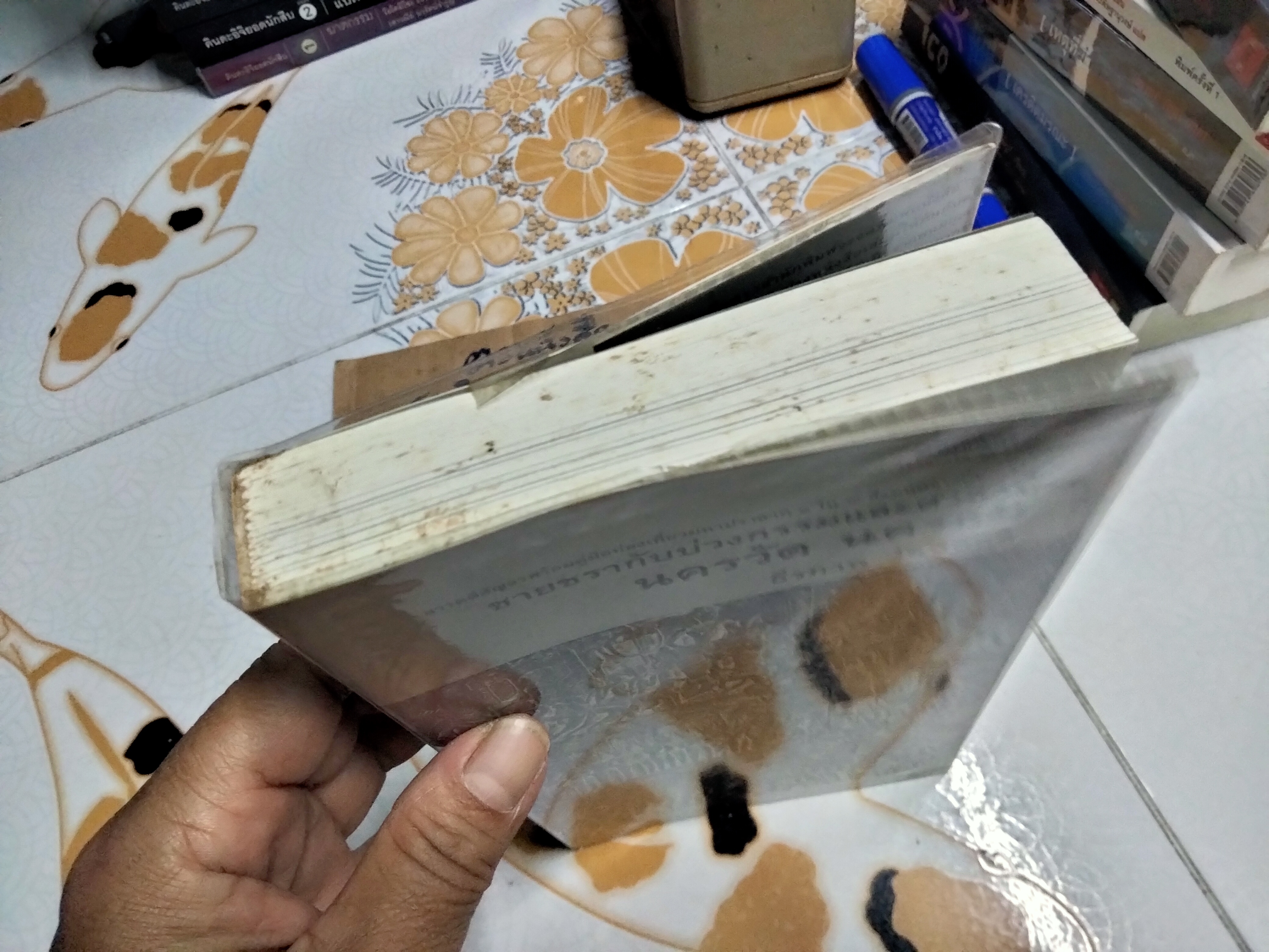 ชายชรากับบ่วงกรรมและคำสาป นครวัด นครธม - ธีรภาพ โลหิตกุล เรื่องและภาพ **สินค้าหมด**