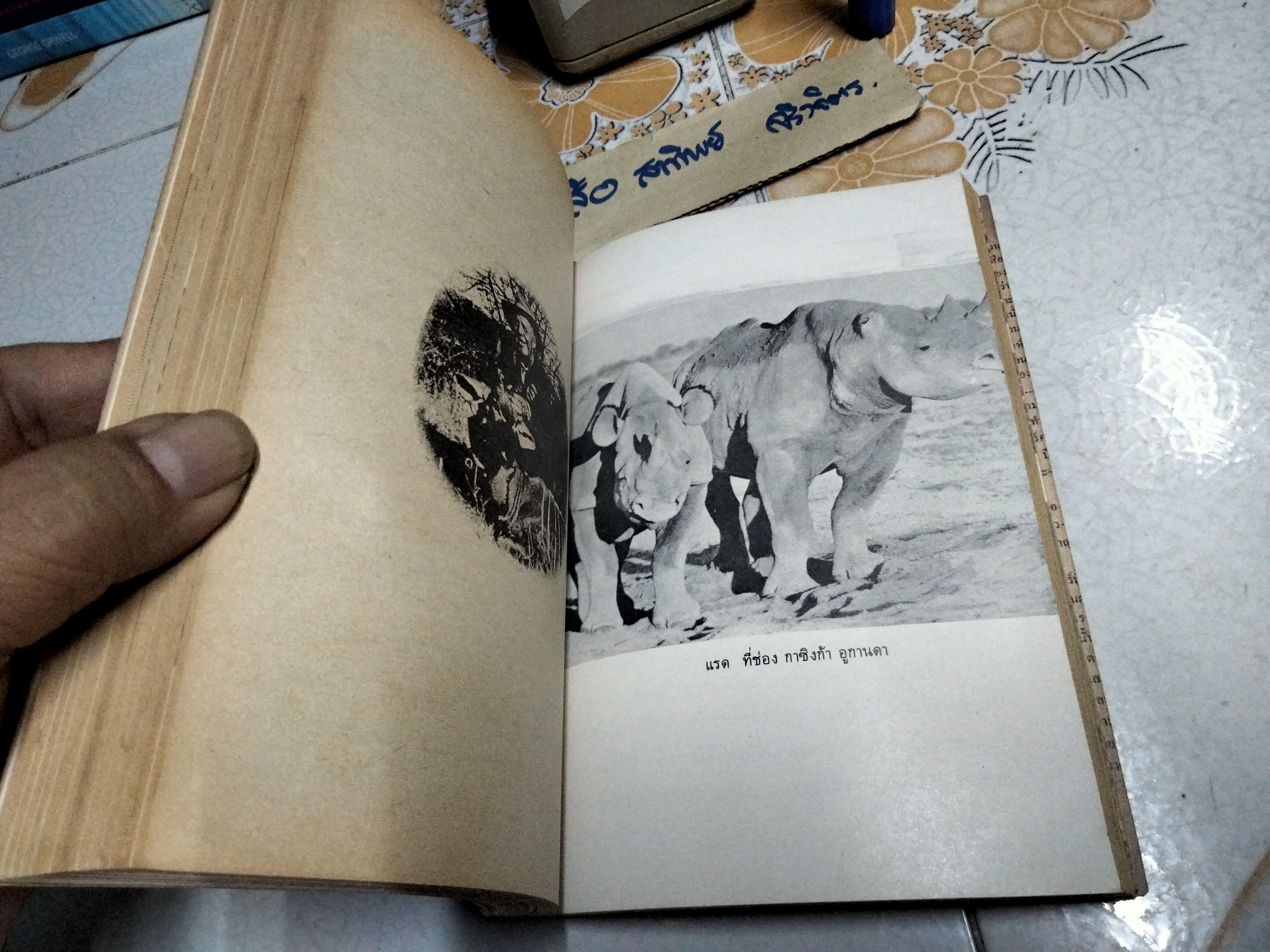 พรานผิวขาว ผู้นำซาฟารี โดย เจ.เอ.ฮันเตอร์ ถอดความโดยไพโรจน์ พันธุมจินดา สำนักพิมพ์ปณิธาน จัดพิมพ์ **สินค้าหมด**