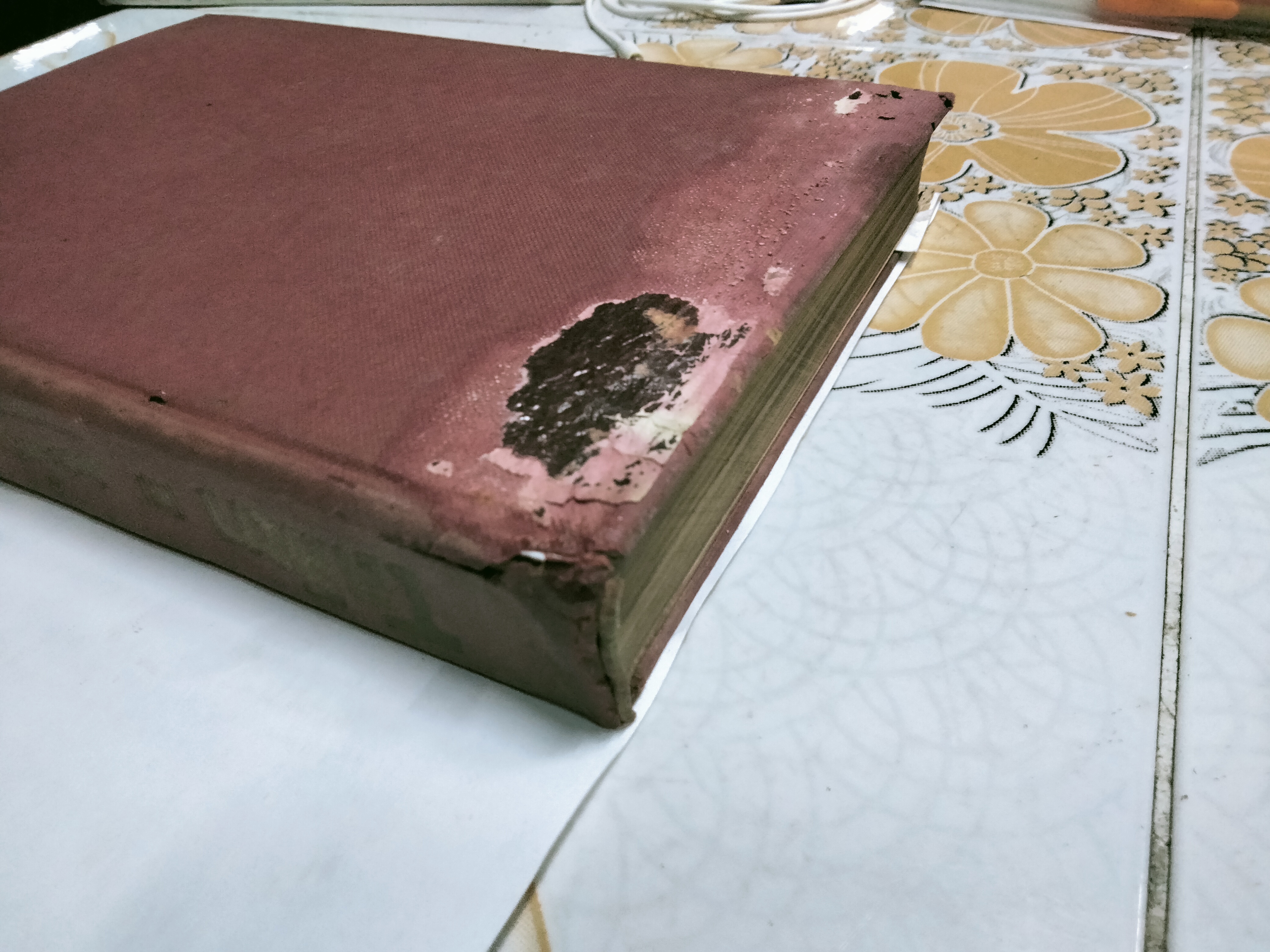 โลลิตา โดย นายตำรา ณ เมืองใต้ ถอดความจากนวนิยายเชิงจิตวิทยา เรื่อง "LOLITA" ของ Vladimir Nabokov **สินค้าหมด**