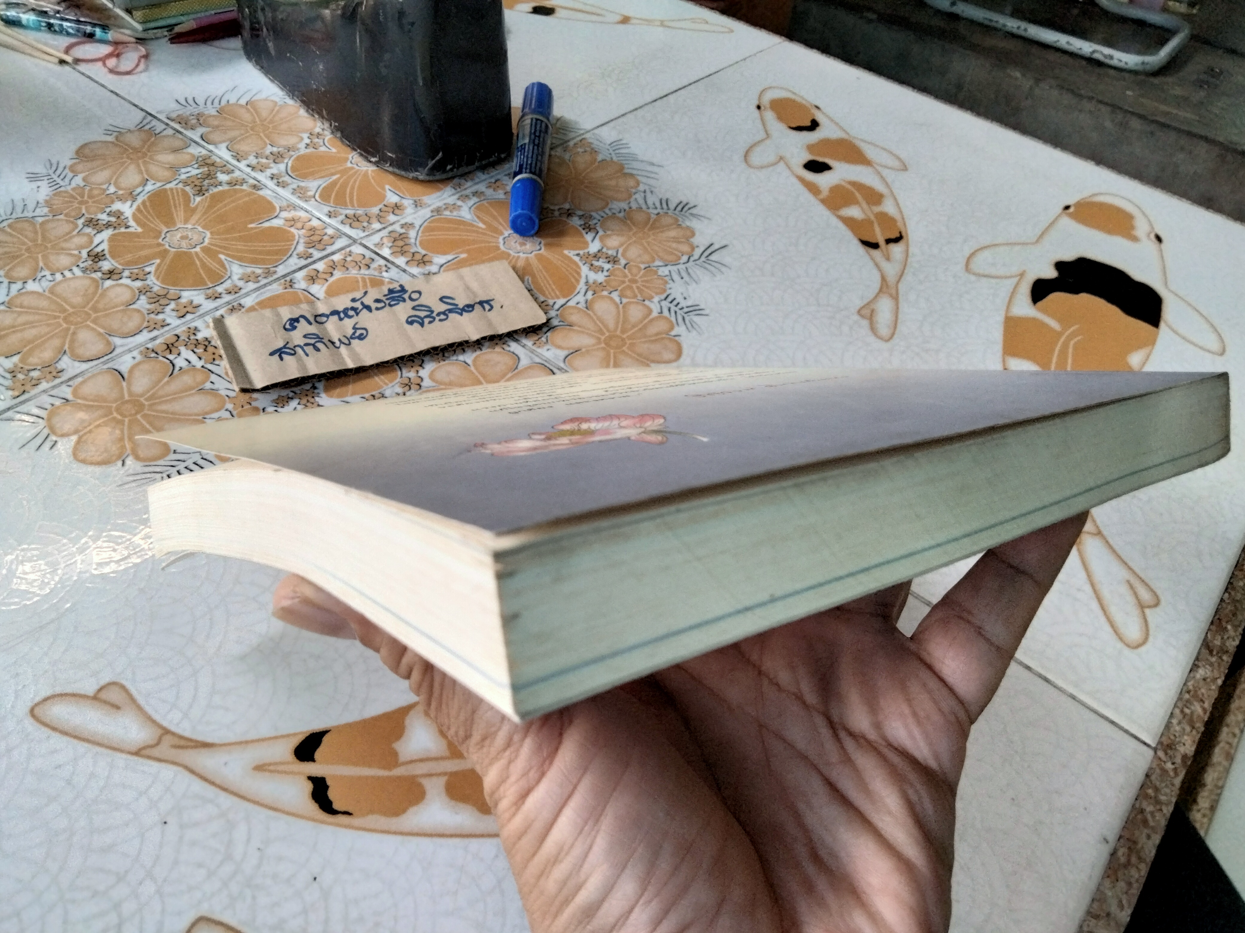 ชีวิตโลก ชีวิตธรรม ประวัติชีวิตธรรมดา ของ รัญจวน อินทรกำแหง (ปกหน้ามีรอยพับ) **สินค้าหมด**