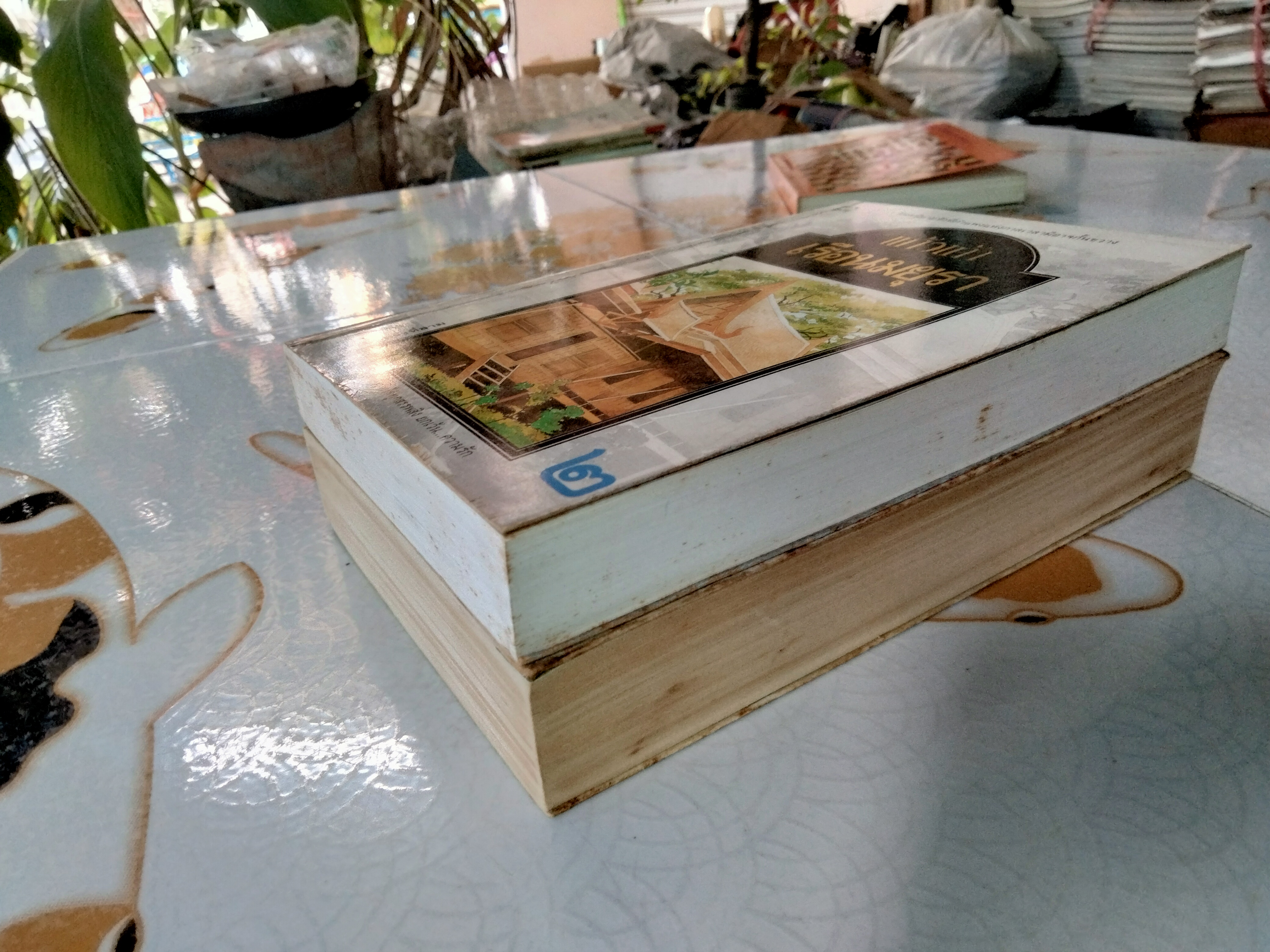 เรือนมยุรา (2 เล่มจบ- พิมพ์คนละครั้ง) แก้วเก้า