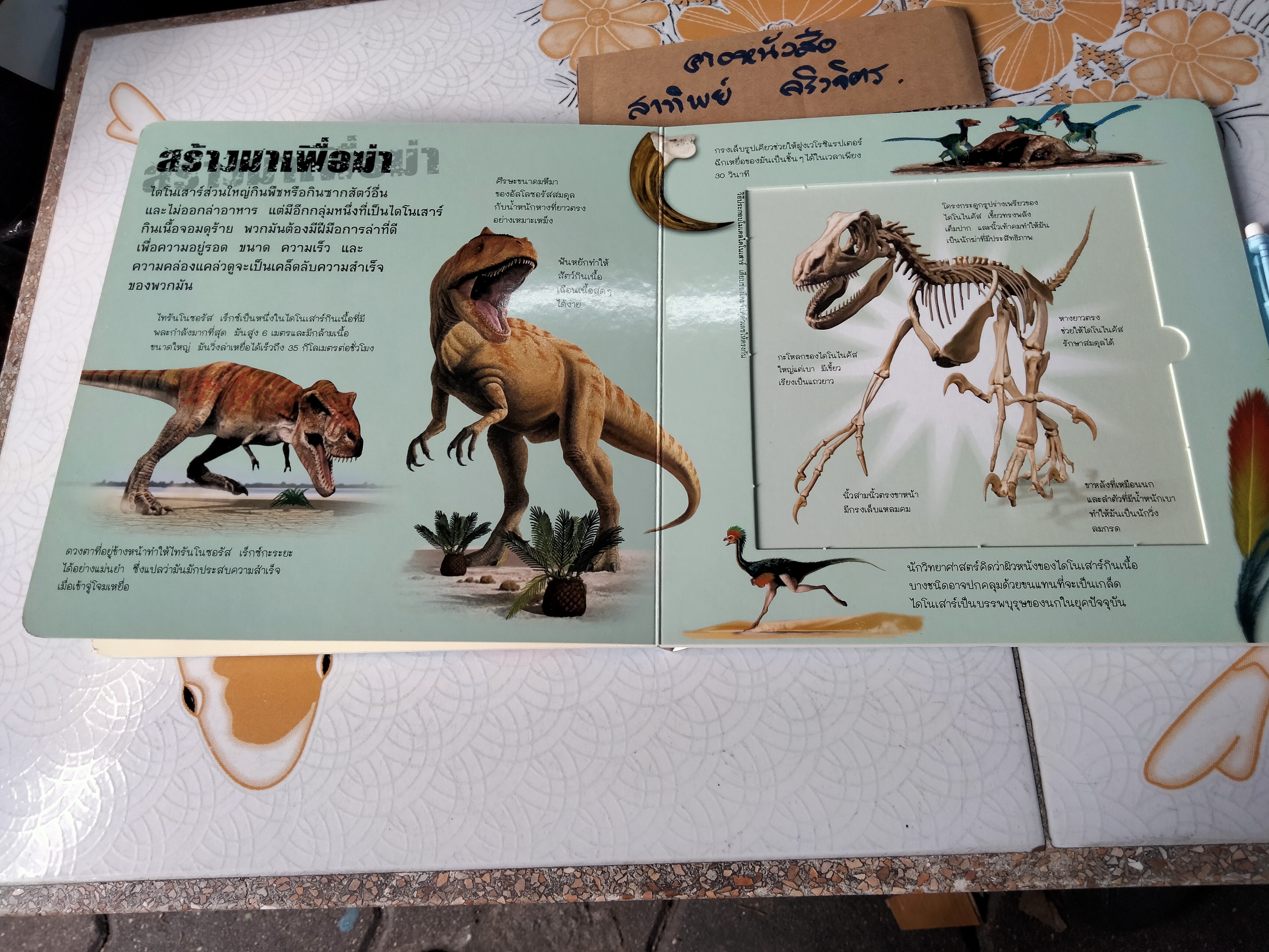 ประกอบร่างไดโนเสาร์ (บอร์ดบุ๊ค กระดาษแข็ง) **ไม่มีโมเดลไดโนเสาร์แล้ว