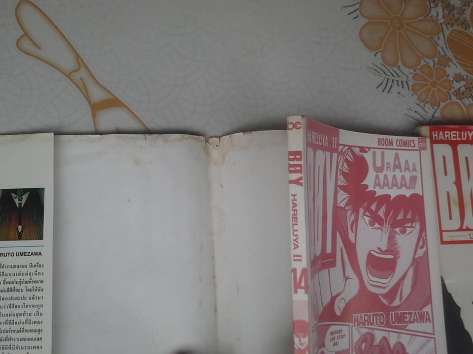 หนังสือการ์ตูน BOY HARELUYA ll 1-33 จบ ** สินค้าหมด**