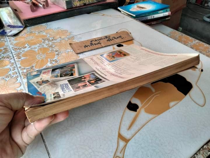 เพื่อนนักประดิษฐ์ (ไม่มีแผ่นพับ) (พิมพ์ครั้งที่ 2) **สินค้าหมด**