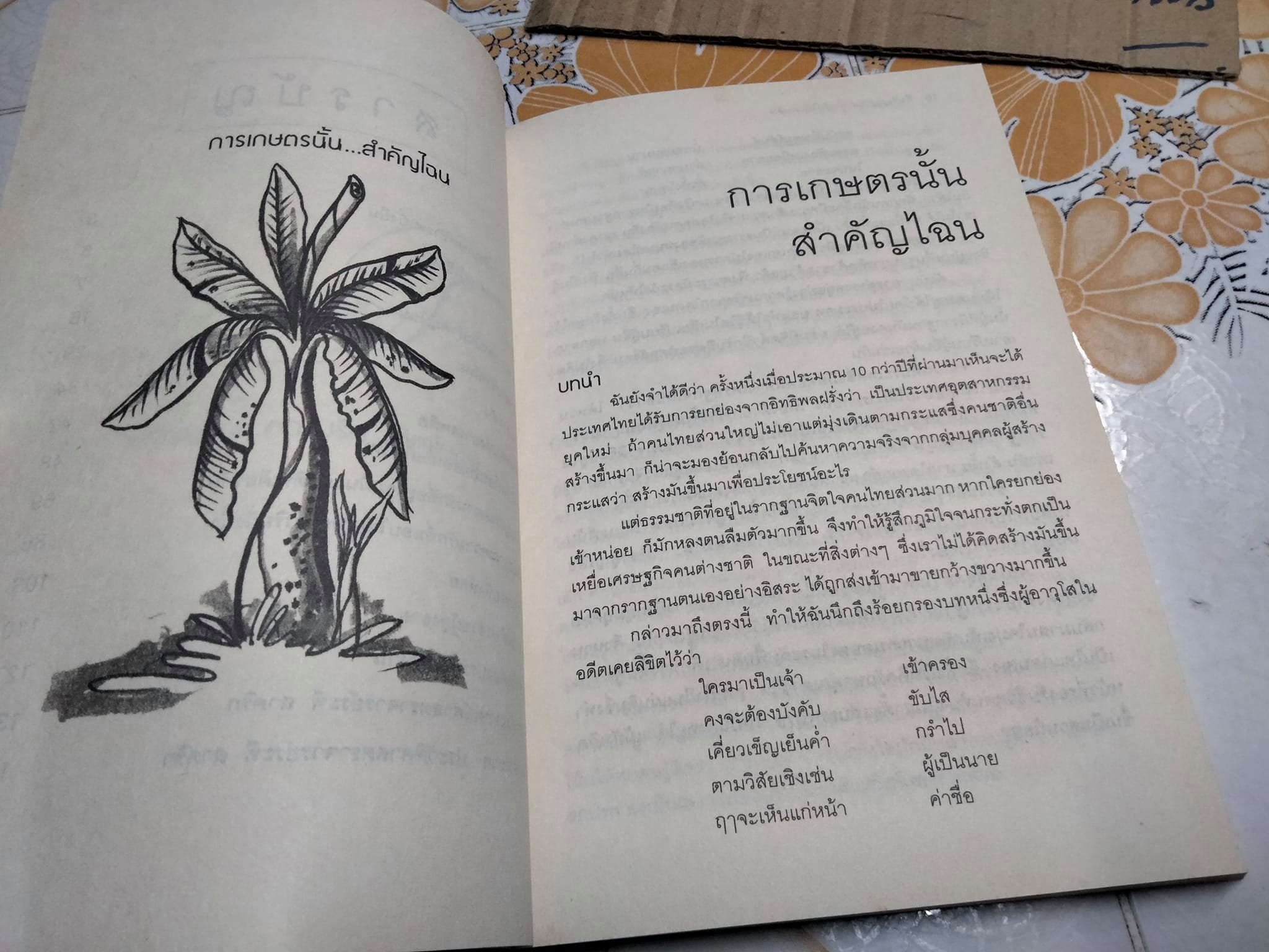 คืนวิญญาณความรักให้แผ่นดิน- ระพี สาคริก *สินค้าหมด**