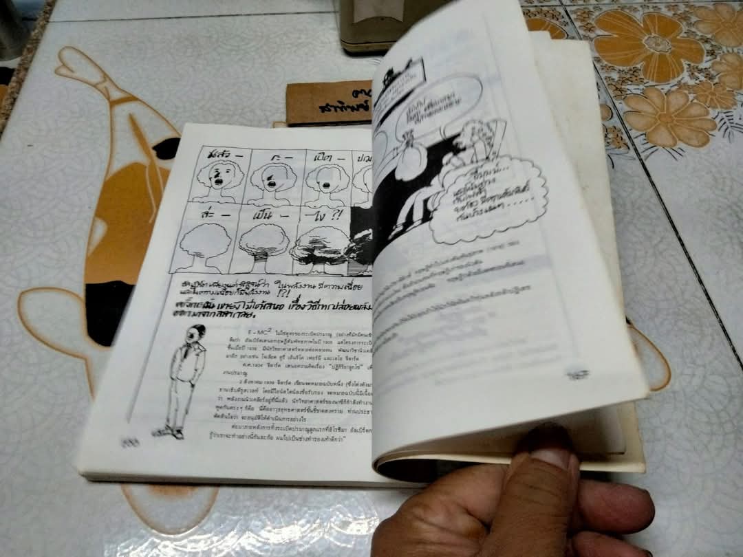 ไอน์สไตน์ฉบับการ์ตูน (Einstein For Beginners) ผลงานของ โจเซฟ ชวร์าซ วาดภาพโดย ไมเคิล แมคกินเนส