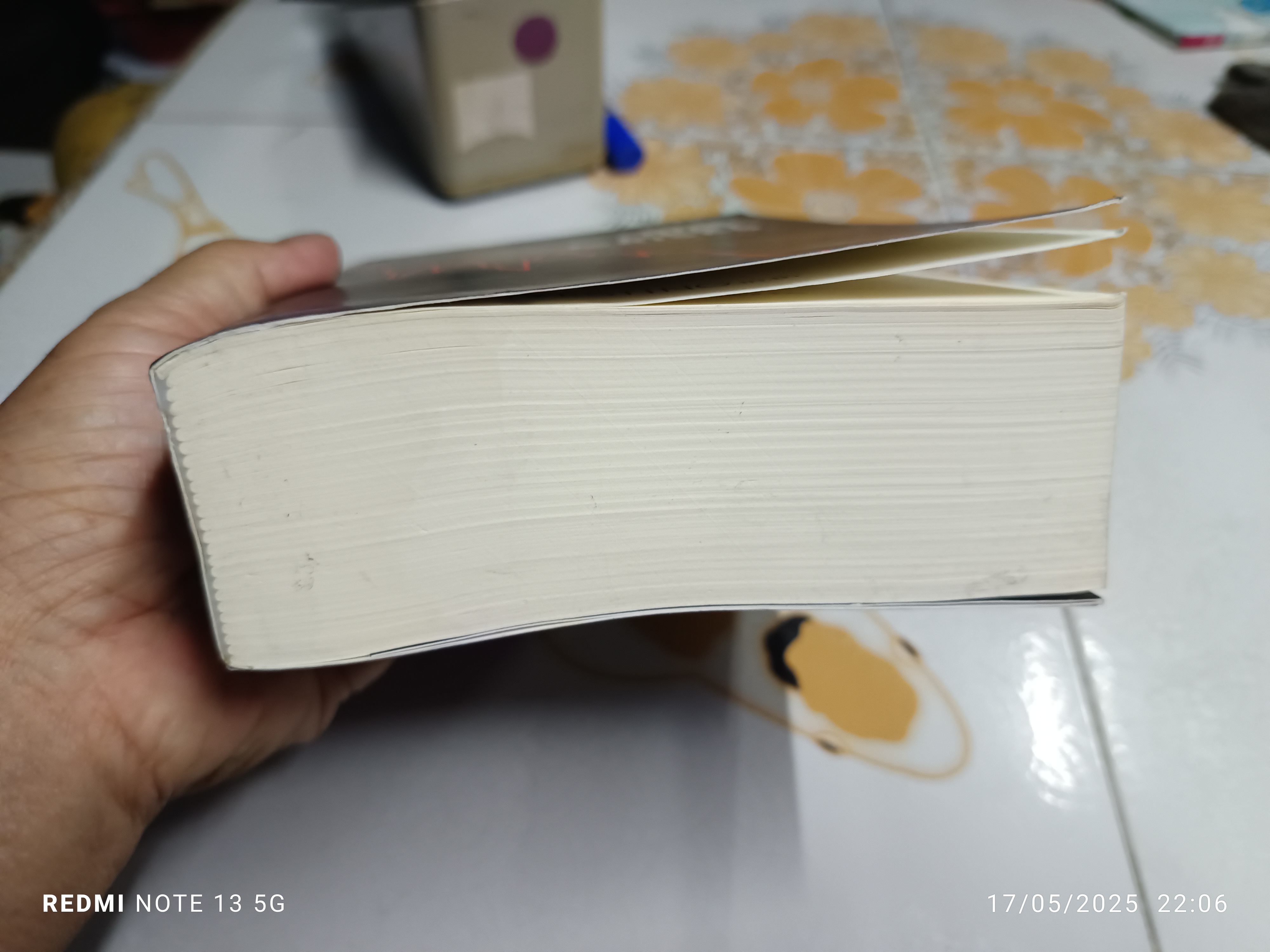 Big Debt Crises ภาคภาษาไทย Ray Dalio เขียน ปิยะศักดิ์ ดวงบัณฑิตกุล. แปล (Principles for Navigating Big Debt Crises) **สินค้าหมด**