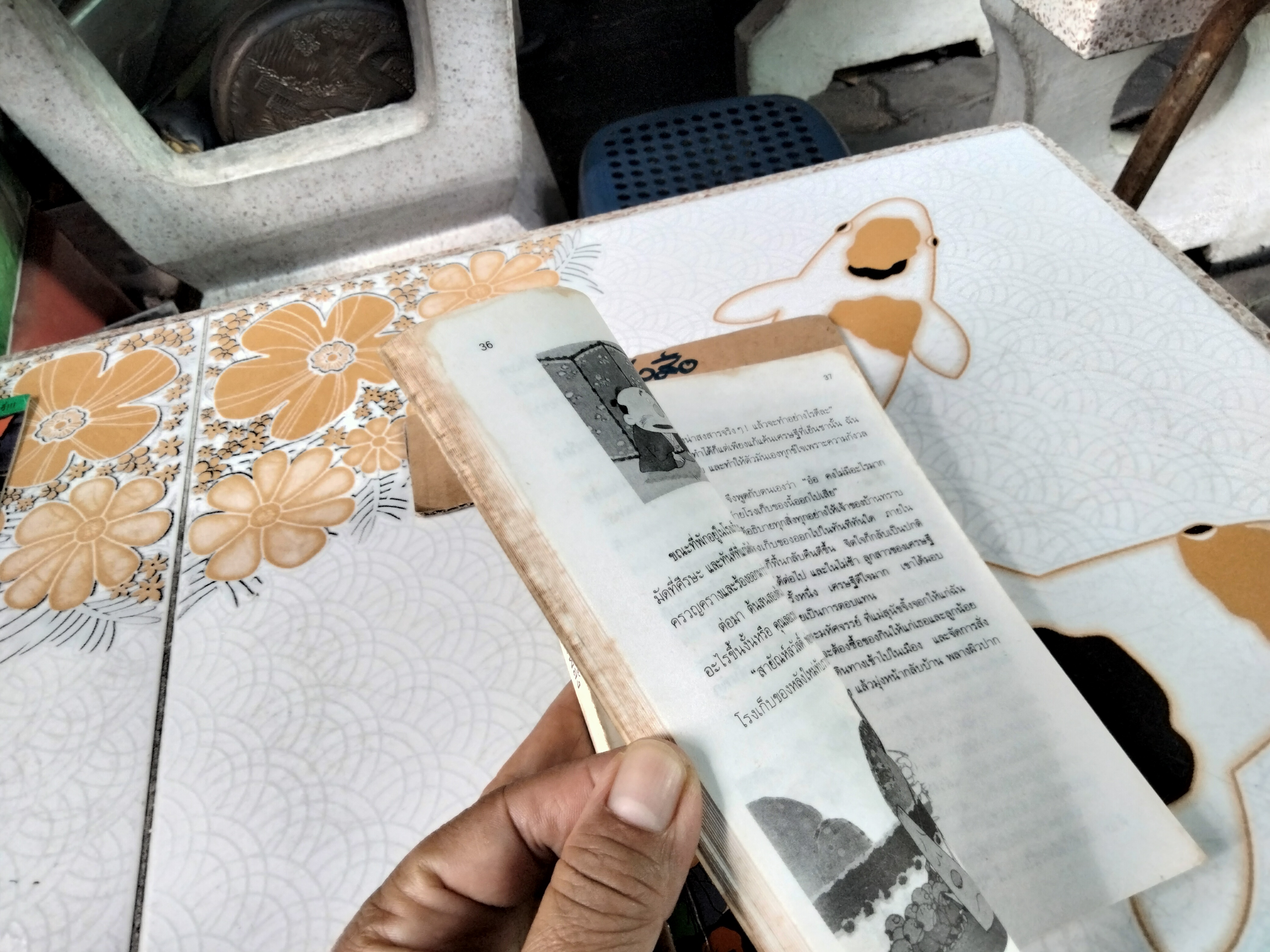 คินทาโร เจ้าหนูจอมพลัง (ตำหนิ-มีคราบน้ำ) ซายุมิ คาวาอุจิ (Sayumi Kawauchi) แปลโดย วัฒนา พัฒนพงศ์