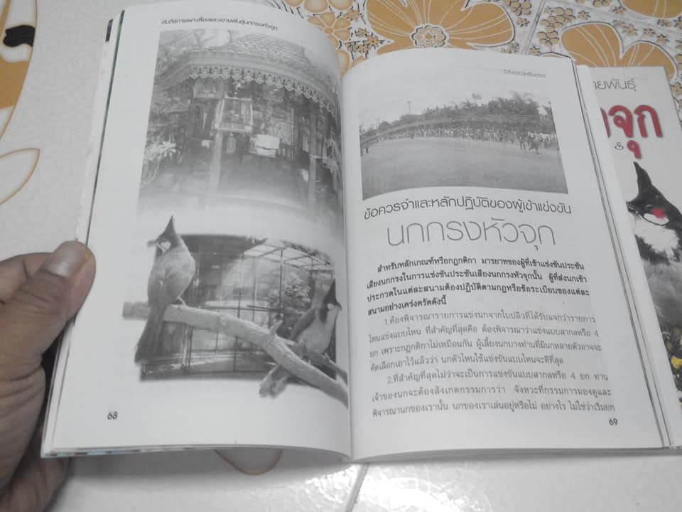 คัมภีร์การเพาะเลี้ยงและขยายพันธุ์ นกกรงหัวจุก PYCNONOTUS **สินค้าหมด**