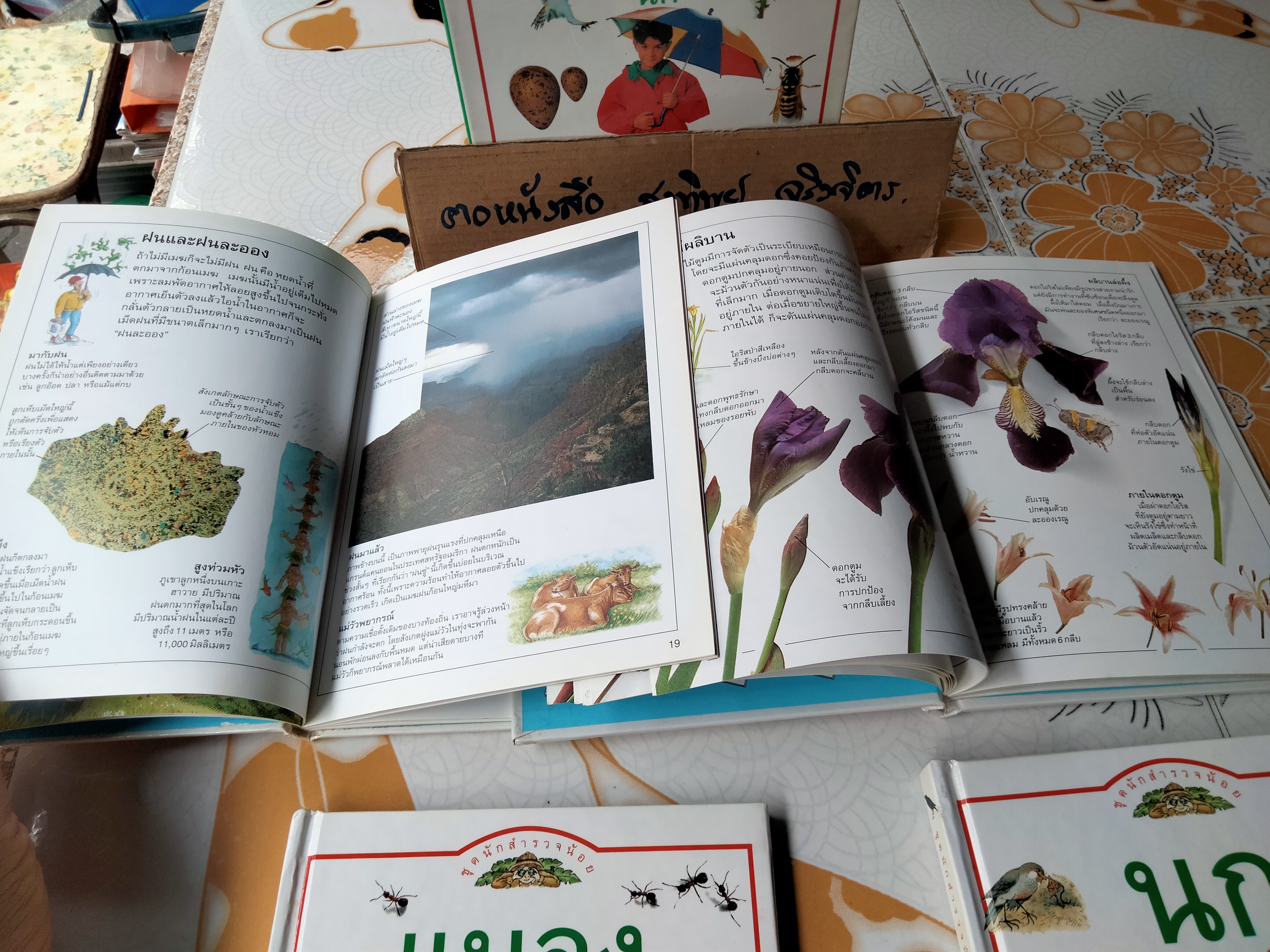 หนังสือชุดนักสำรวจน้อย-ลมฟ้าอากาศ, ดอกไม้, แมลง ,นก (Boxset) **สินค้าหมด**