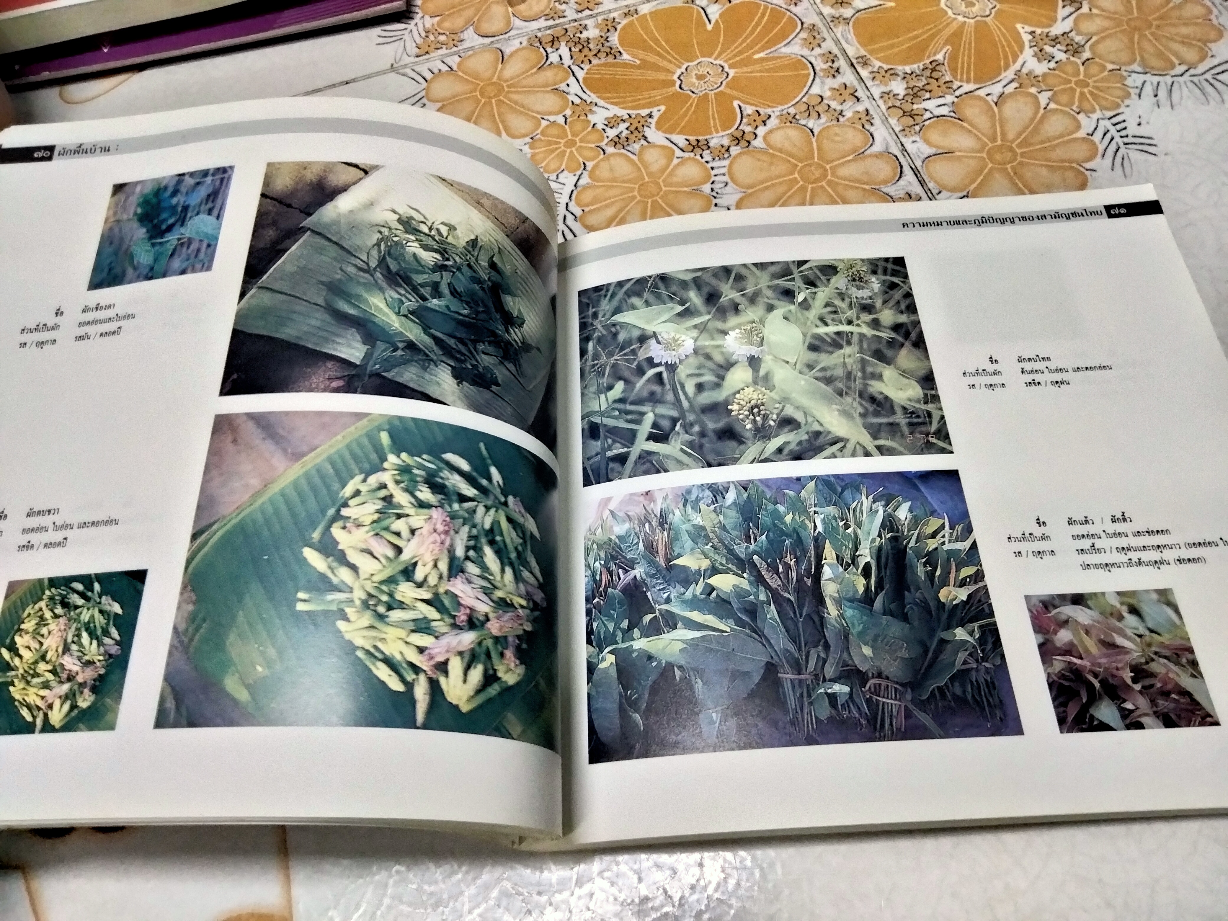 ผักพื้นบ้าน ความหมายและภูมิปัญญาของสามัญชนไทย โดย สถาบันการแพทย์แผนไทย กรมการแพทย์ กระทรวงสาธารณสุข