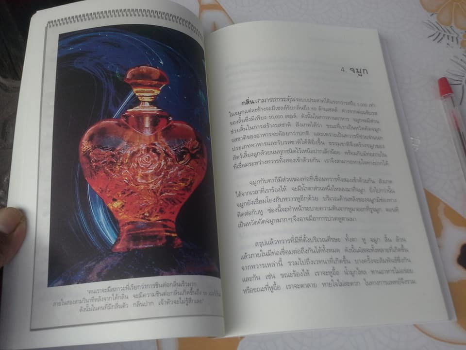 ทวาร 6 ศาสตร์แห่งการรู้ทันตนเอง - ทันตแพทย์สม สุจีรา (พิมพ์ครั้งแรก) **สินค้าหมด**