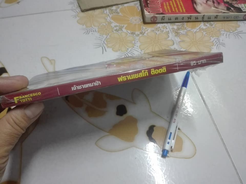 เจ้าชายหมาป่า ฟรานเซสโก้ ต๊อตติ **สินค้าหมด**