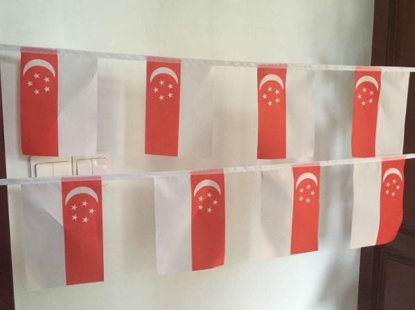 ธงชาติสิงคโปร์ (ธงราวสิงคโปร์) 新加坡小国旗 Singapore Flag Small Flag Decoration ธงชาติประเทศสิงคโปร์ สำหรับประดับตกแต่งในงาน ตกแต่งสถานที่ ราคาถูก