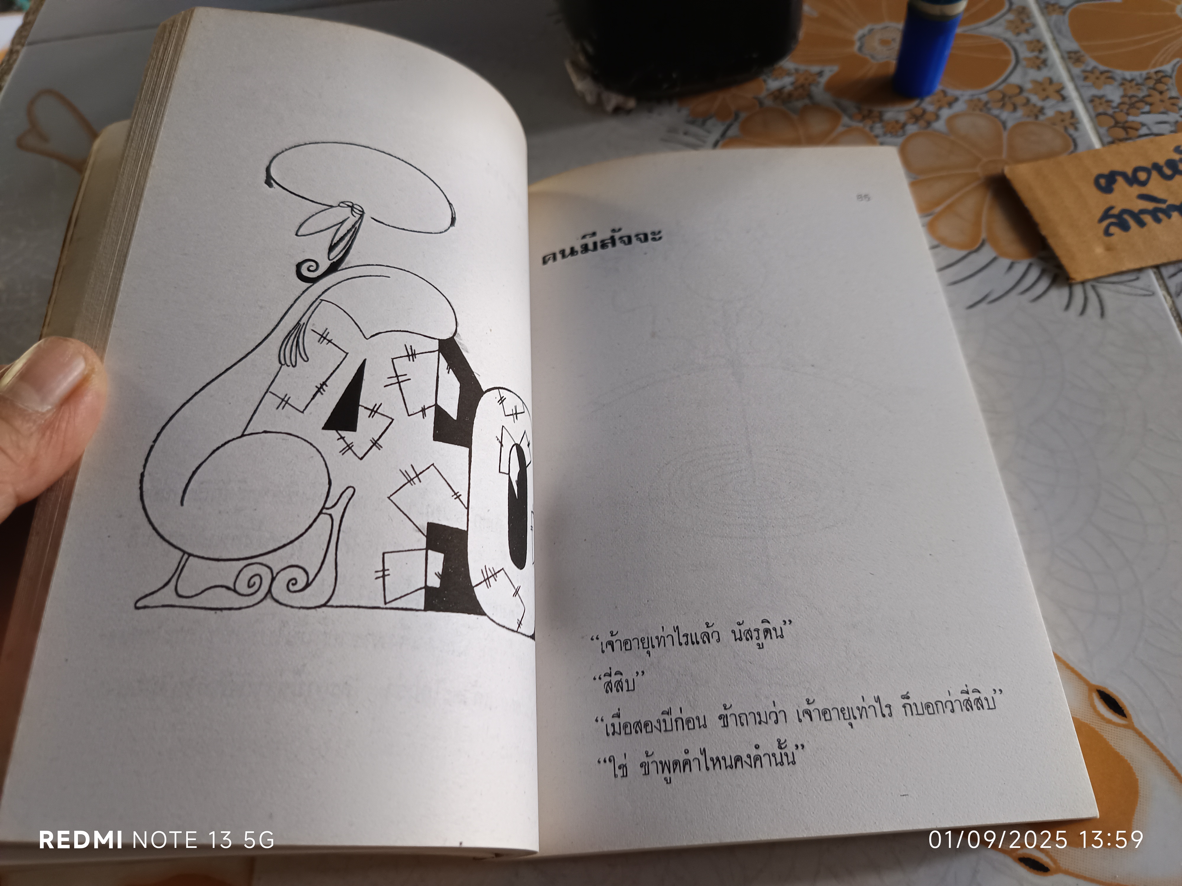 นัสรูดิน - คนเจ้าสำราญ โดย วันทิพย์ พิมพ์ครั้งที่ 5 สำนักพิมพ์สายใจ **สินค้าหมด**