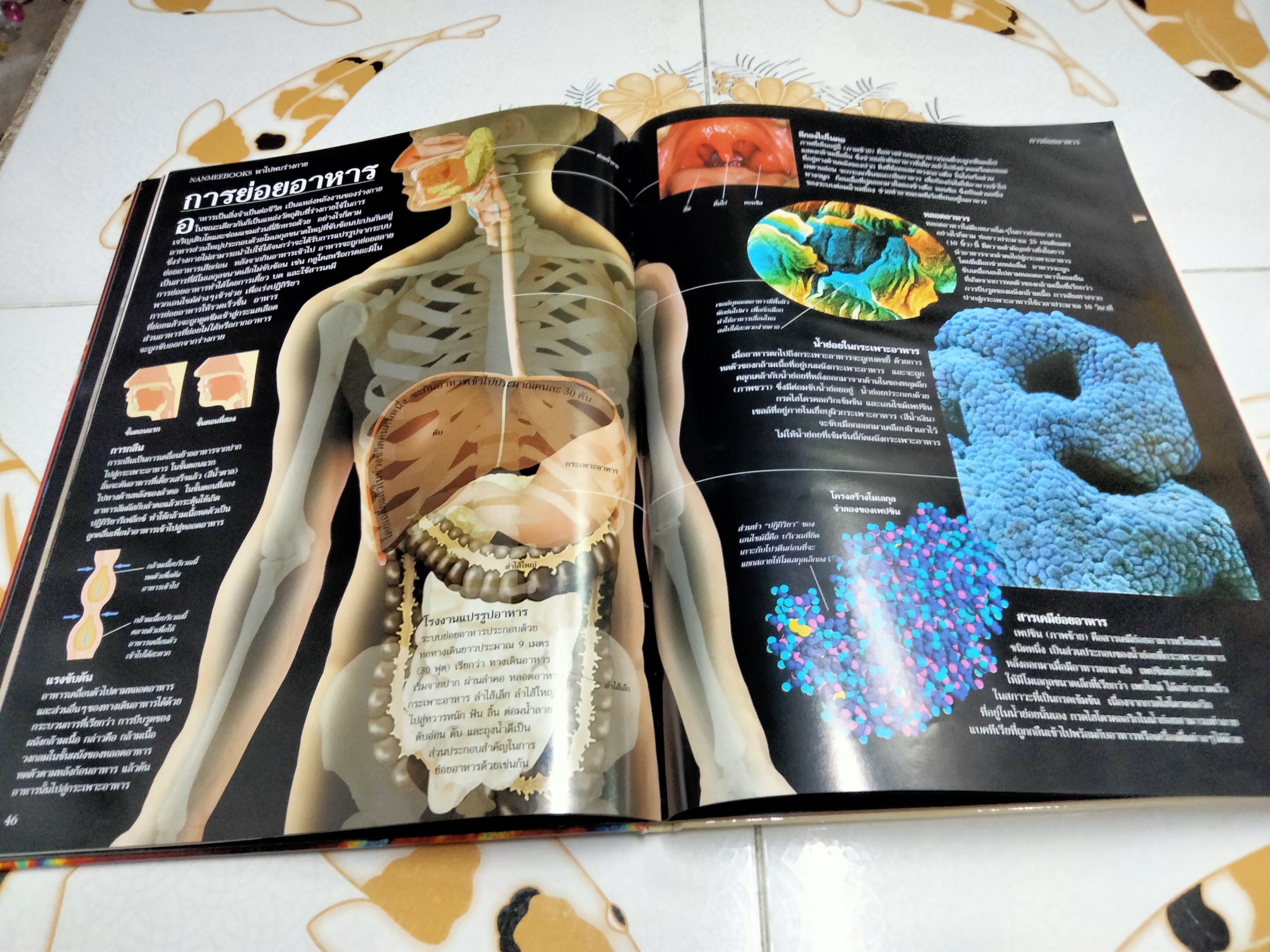 NANMEEBOOKS พาไปพบร่างกาย - Richard Walker เขียน, มีนา โอวราวินทร์ แปล (มีตราประทับจากห้องสมุดที่ใบรองปกหน้าและหลัง)