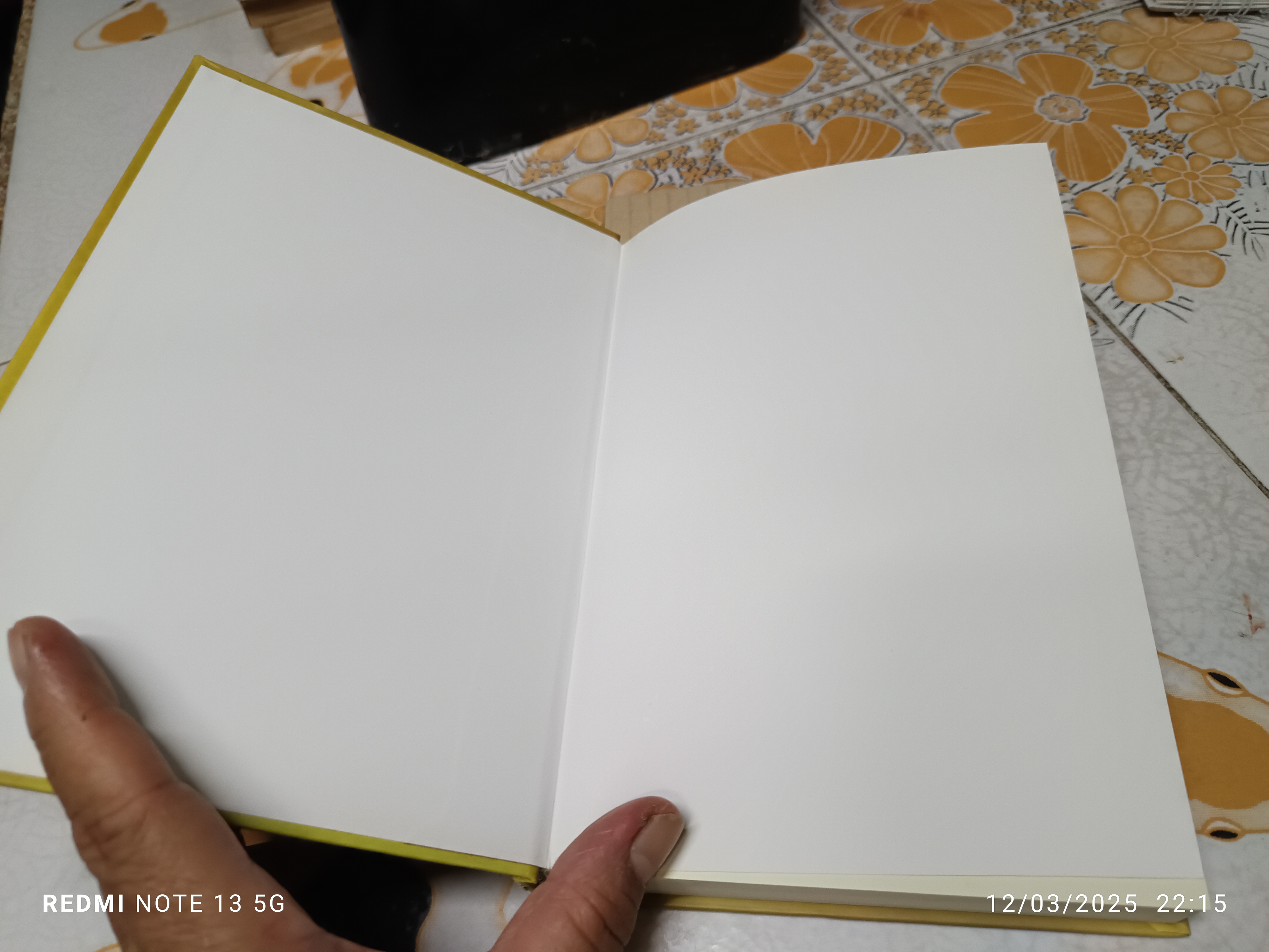 รักลูกให้ถูกทาง หลวงพ่อปัญญานันทภิกขุ (ปกแข็ง)