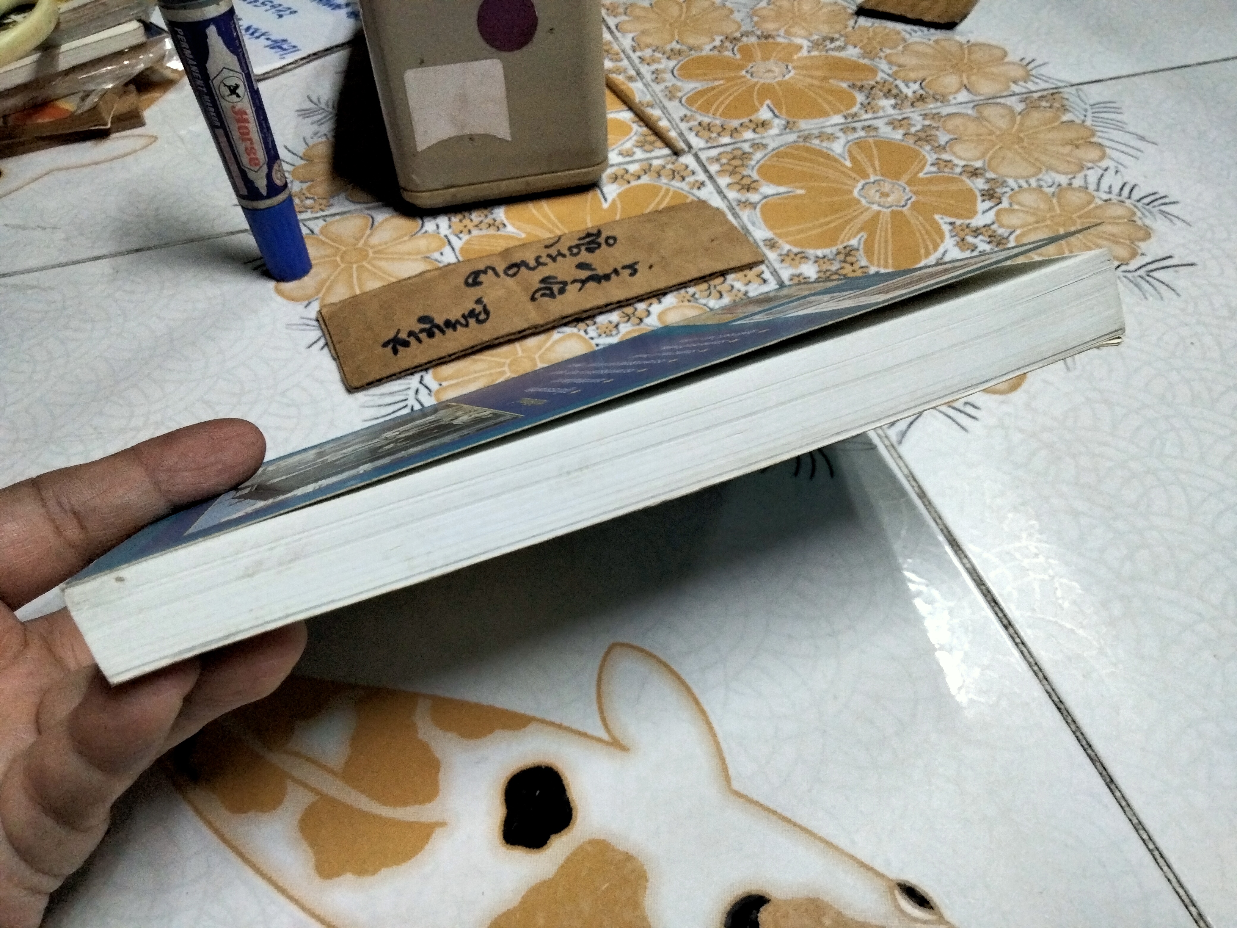 คำกิริยาภาษาสเปน Los verbos Espanoles / ปาริชาติ ชุมสาย ณ อยุธยา พิมพ์โดยสำนักพิมพ์เฉลิมนิจ พ.ศ. 2551