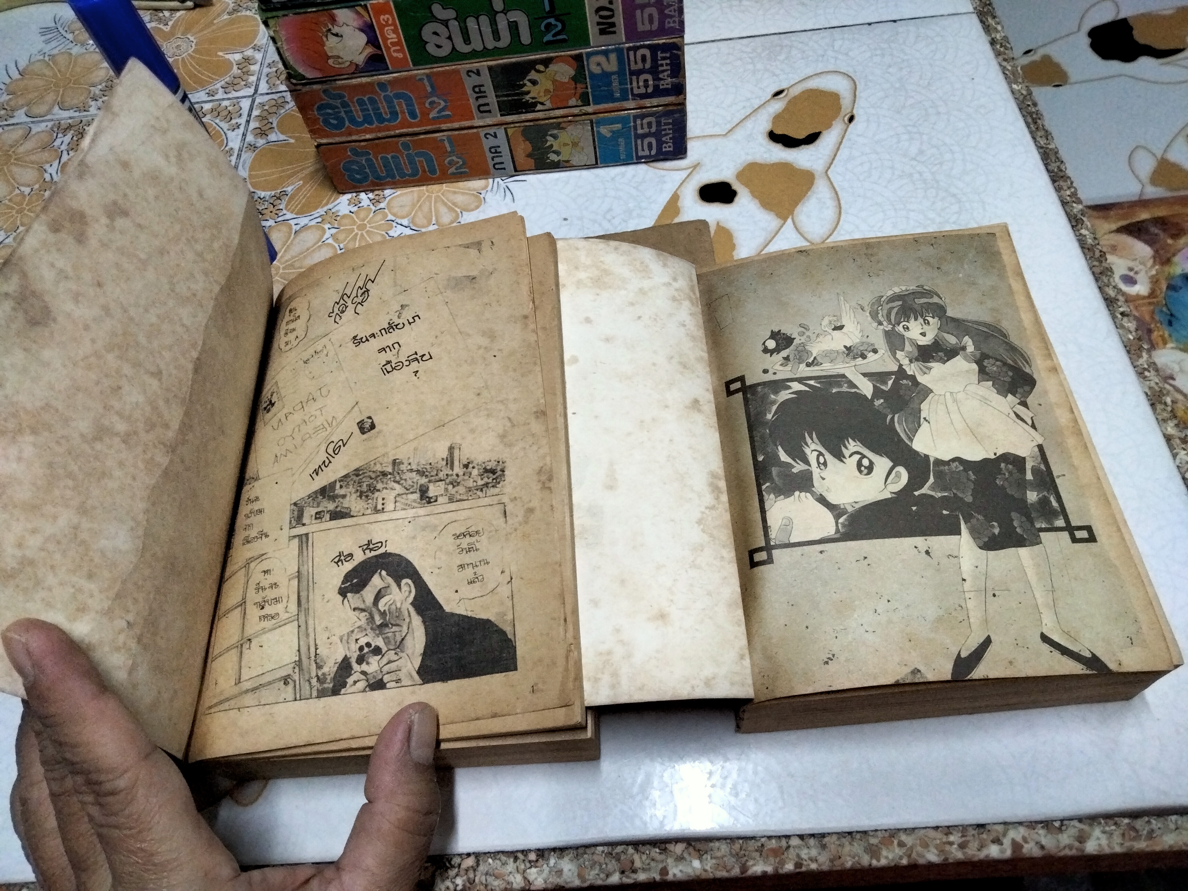 รันม่า 1/2 เจ้าหนุ่มกังฟู 3 ภาค - 6 เล่ม (เล่มหนา-มิตรไมตรี) STORY & ILLUSTRATED BY TAKAHASHI RUMIKO